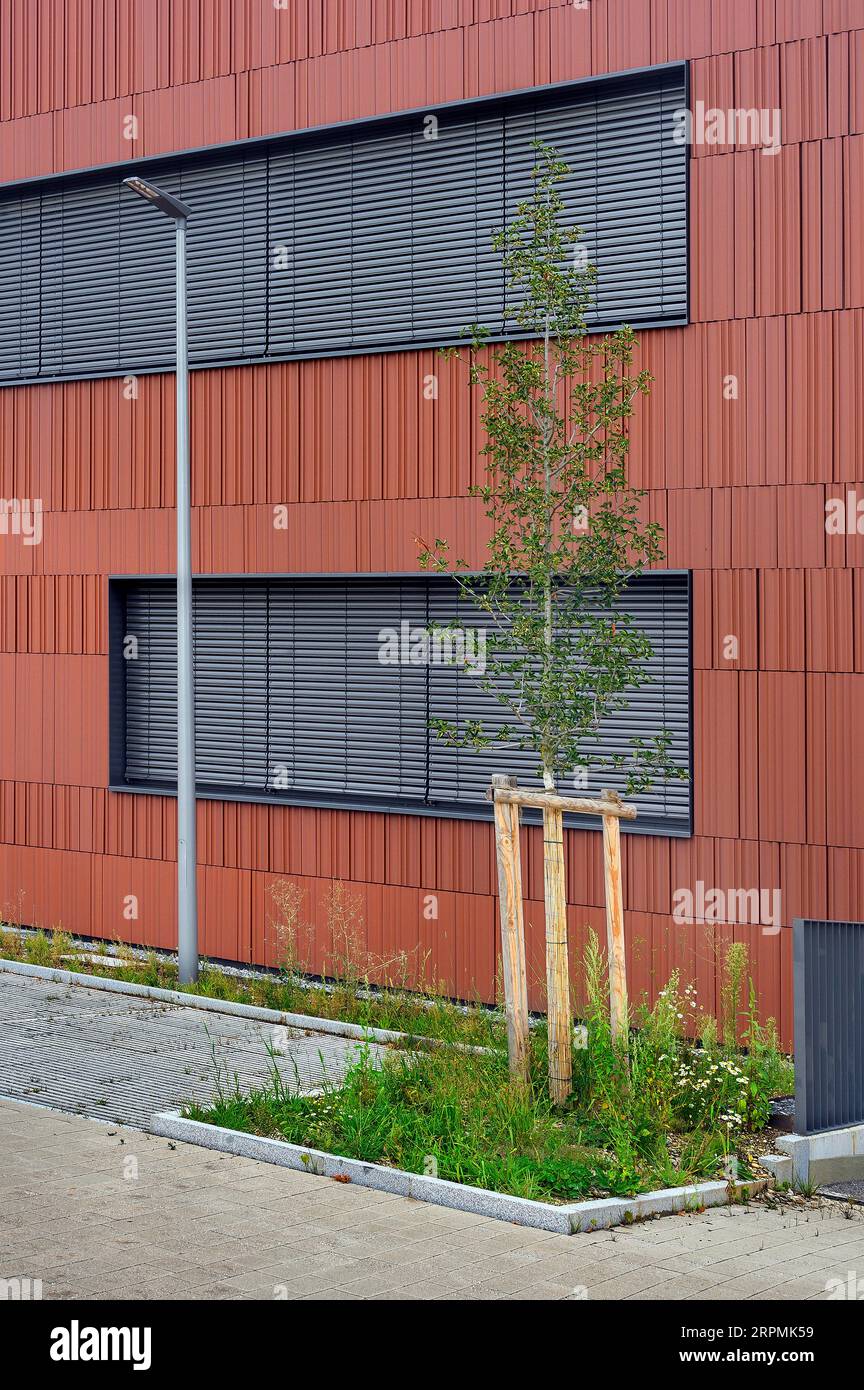 Tonneau rouge-brun, Centre scolaire professionnel, Kempten, Allgaeu, Bavière, Allemagne Banque D'Images