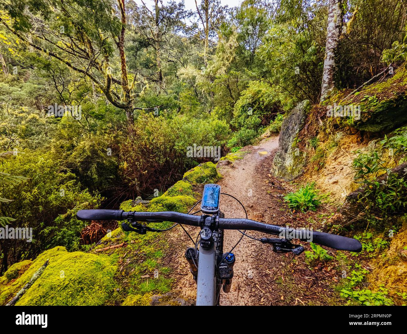 DERBY, AUSTRALIE, 24 SEPTEMBRE 2022 : Axehead Trail sur le réseau populaire et Blue Derby Mountain bike Trail au printemps à Derby, Tasmanie Banque D'Images