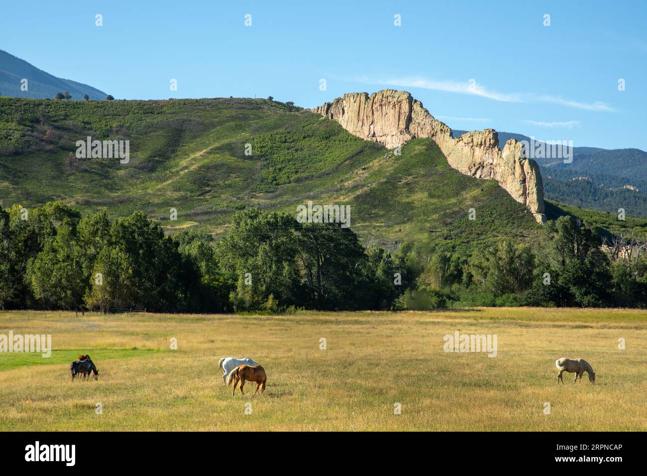 Highway of the Legends dans la montagne Spanish Peaks du Colorado Banque D'Images