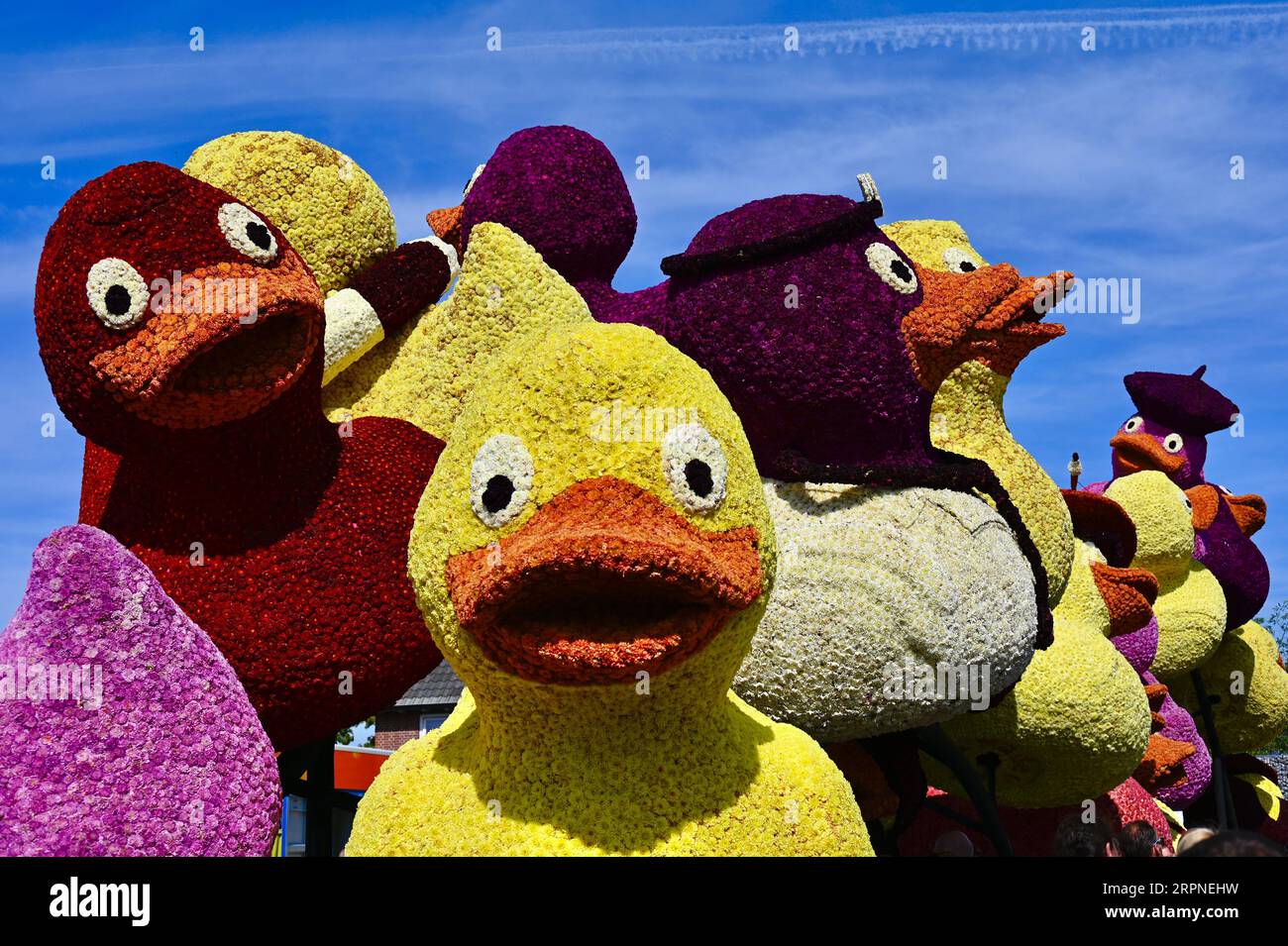 Énormes canards en caoutchouc fabriqués à partir de dahlias ; un des chars de la parade de fleurs de Zundert 2023 Banque D'Images