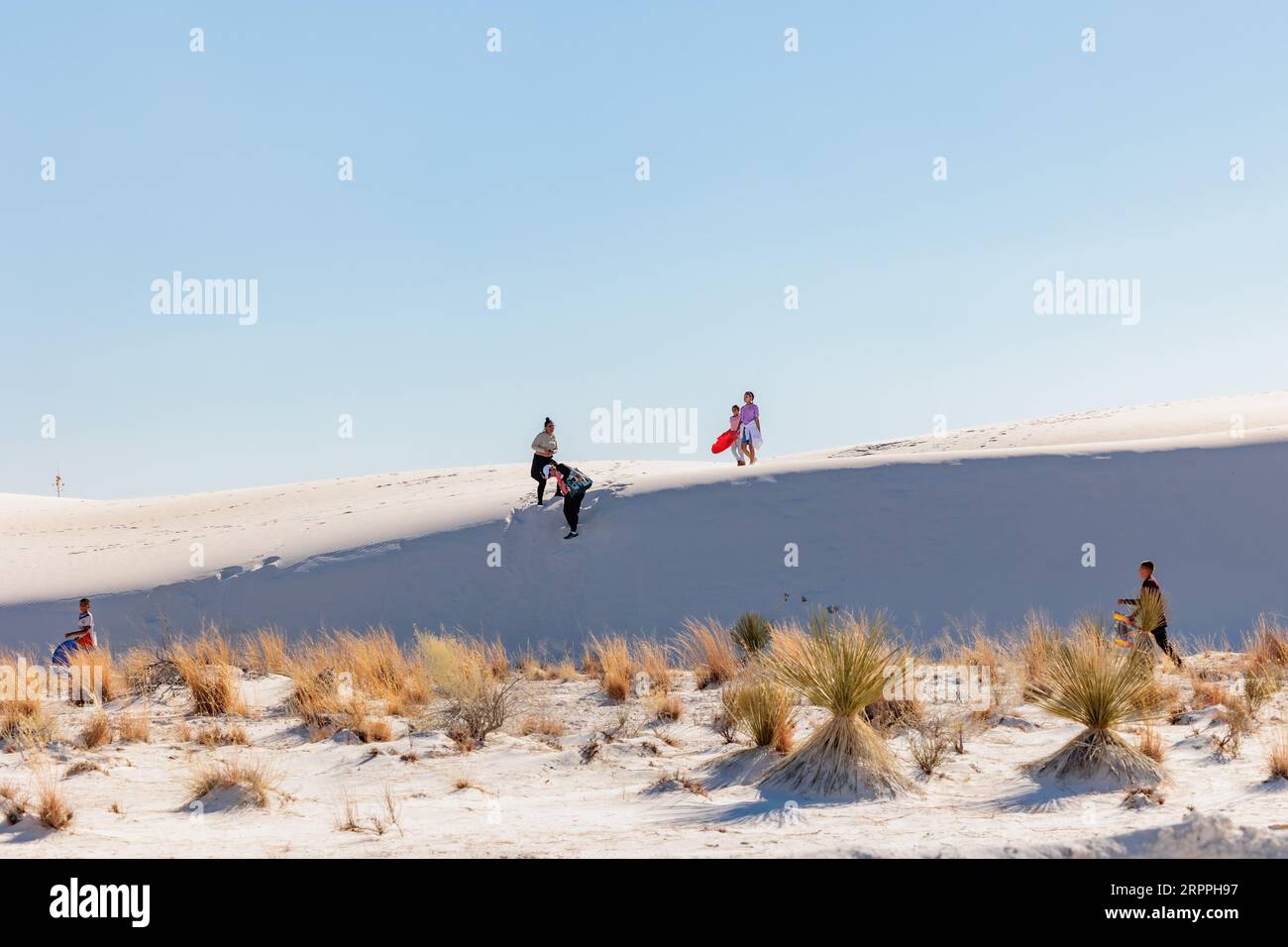 Champs de dunes de gypse au monument national de White Sands situé dans le désert de Chihuahuan et le bassin de Tularosa près d'Alamogordo, Nouveau-Mexique, États-Unis Banque D'Images