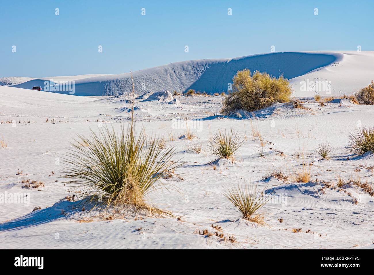 Champs de dunes de gypse au monument national de White Sands situé dans le désert de Chihuahuan et le bassin de Tularosa près d'Alamogordo, Nouveau-Mexique, États-Unis Banque D'Images
