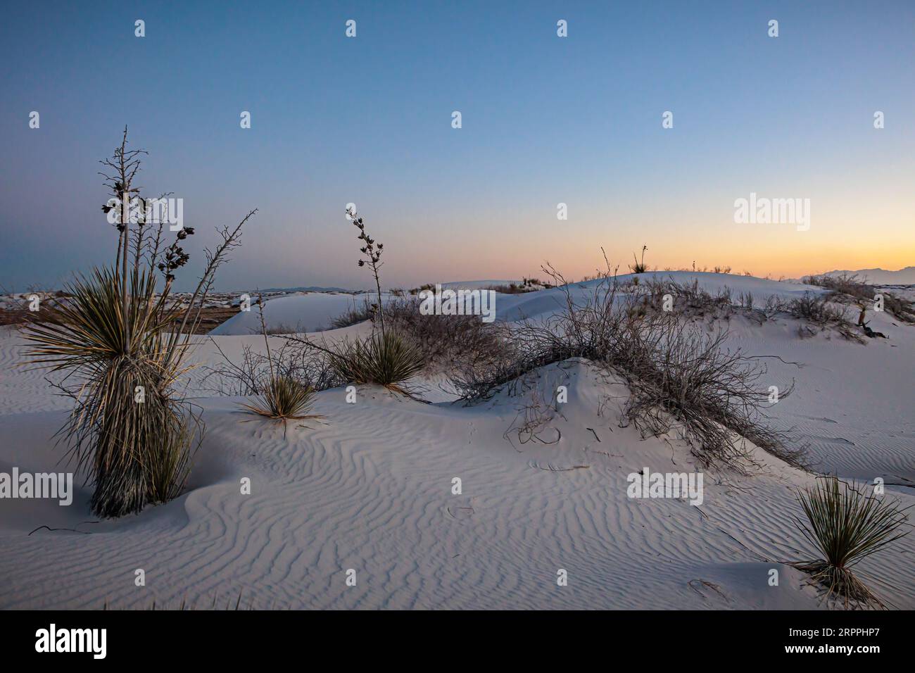 Champs de dunes de gypse au monument national de White Sands situé dans le désert de Chihuahuan et le bassin de Tularosa près d'Alamogordo, Nouveau-Mexique, États-Unis Banque D'Images