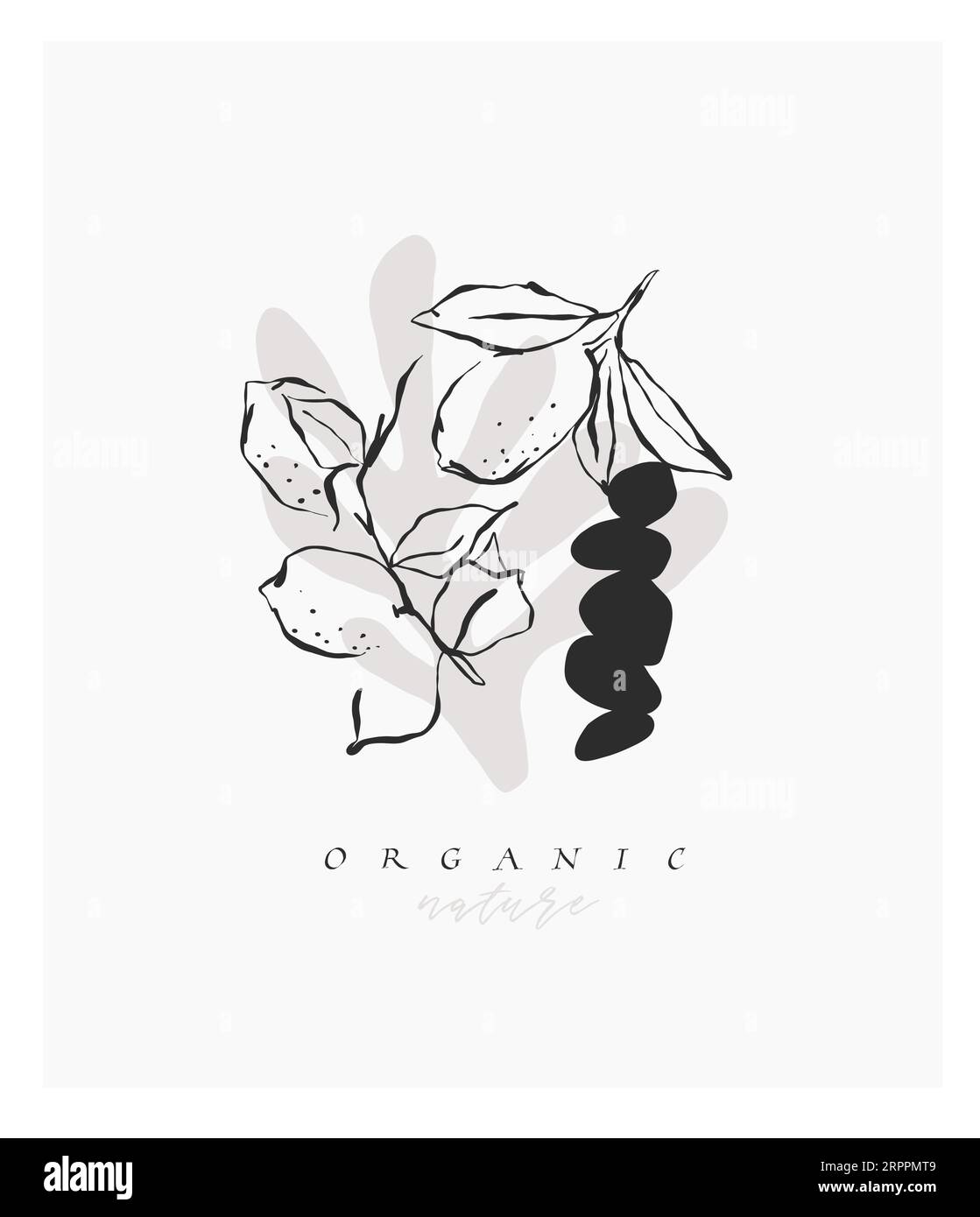 Dessin au trait graphique abstrait vectoriel dessiné à la main impression de collection simple, contemporaine avec l'esthétique Boho formes graphiques organiques.Fashion concept féminin Illustration de Vecteur