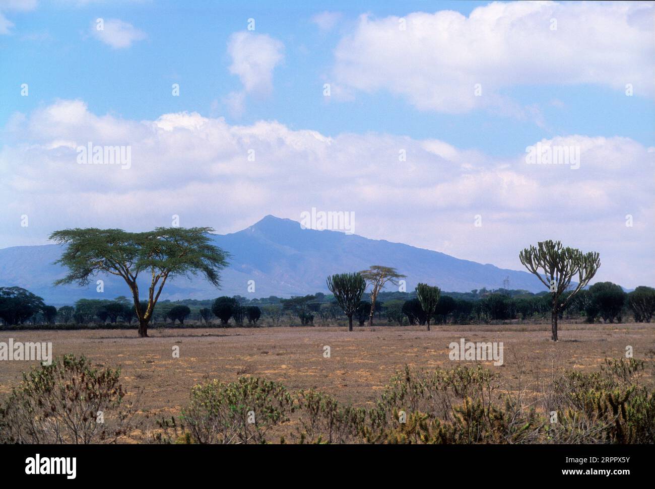 Mont Longonot au loin, Kenya Banque D'Images