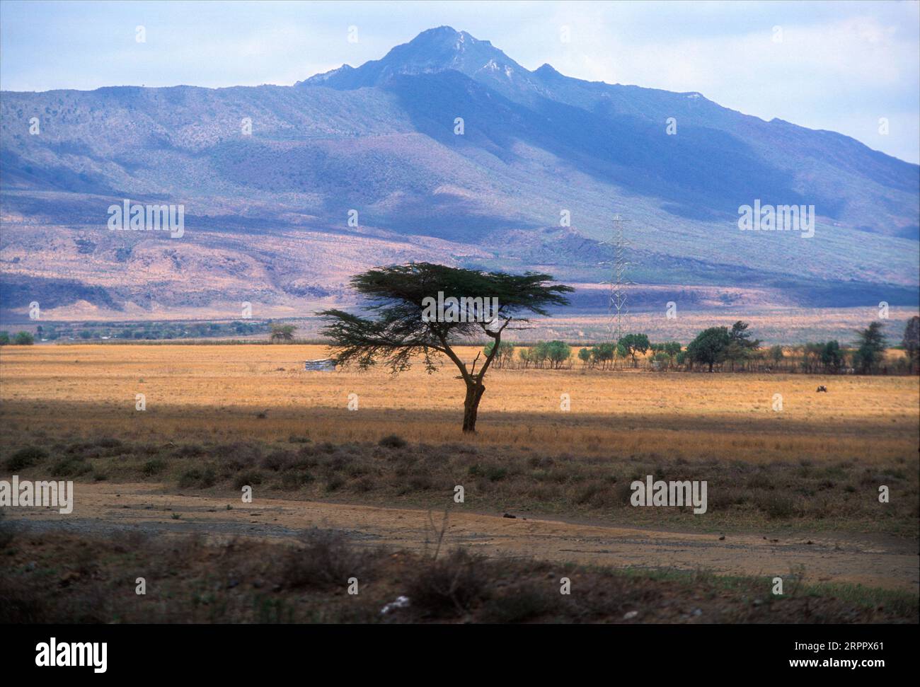 Mont Longonot au loin, Kenya Banque D'Images