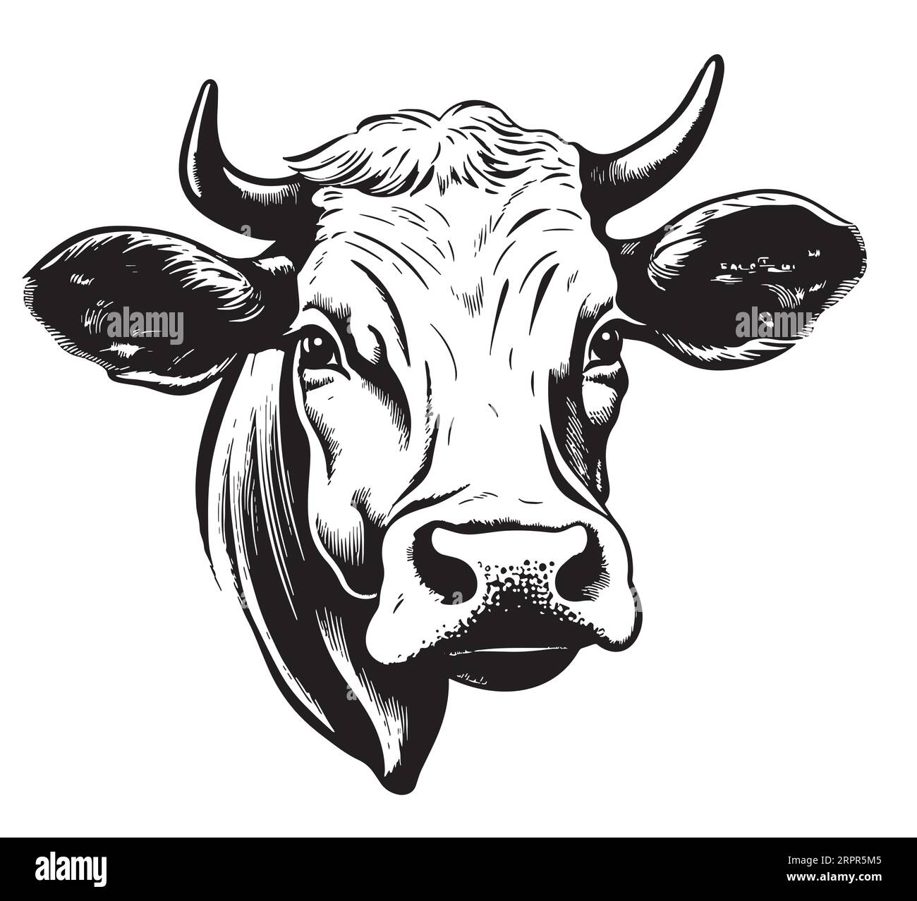 Dessin d'animal de vache ferme dessin à la main Vector Cartoon Illustration de Vecteur