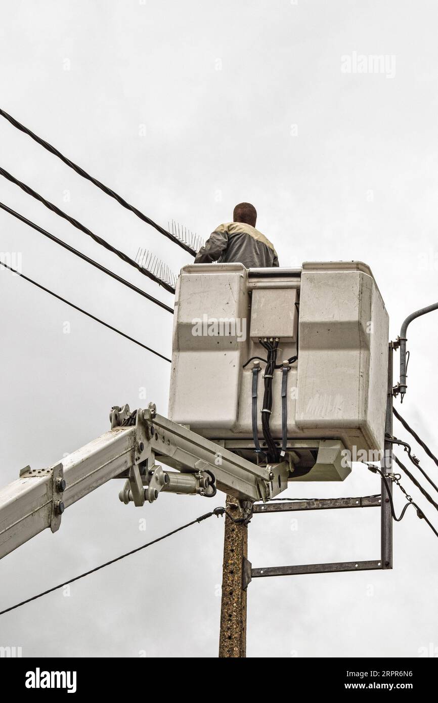 Travailleur dans un godet d'un camion à benne à flèche hydraulique fixant des pointes anti-oiseaux sur un câble d'alimentation électrique. Banque D'Images