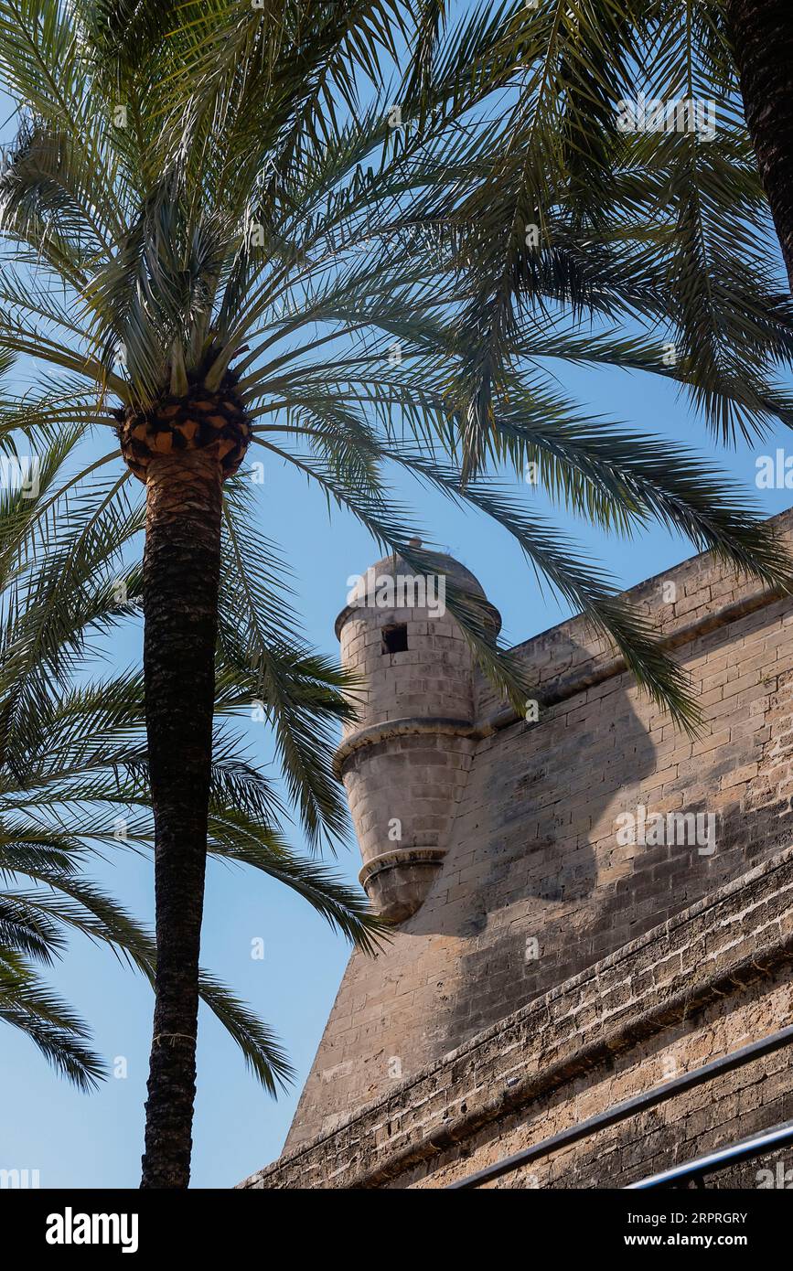 Espagne, Îles Baléares, Majorque, Palma de Majorque, Vieille ville. La Bastio Sant Pere, les bastions de Sant Pere est la seule partie restante des remparts de la vieille ville. Banque D'Images