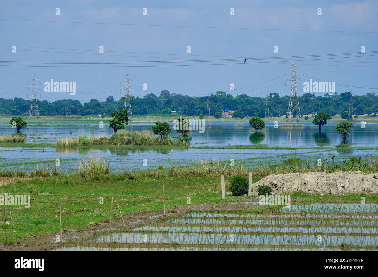 Campagne indienne dans la mousson Banque D'Images