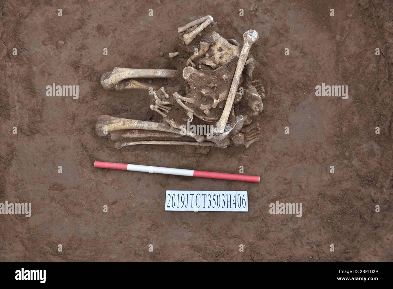 200414 -- JIYUAN, 14 avril 2020 -- la photo de fichier non datée montre des restes humains à genoux découverts sur le site de Chaizhuang à Jiyuan, dans la province du Henan au centre de la Chine. Les archéologues ont découvert des os humains en position agenouillée dans une fosse sacrificielle de ruines datant de la fin de la dynastie Shang 1600 BC-1046 BC dans la province du Henan centrale de la Chine, ce qui prouve un glyphe dans l'inscription osseuse oracle de l'enterrement. Lors des fouilles du site de Chaizhuang à Jiyuan, les archéologues ont trouvé un grand nombre de tombes de la fin de la dynastie Shang, fournissant des preuves pour l'étude de l'ancienne SO Banque D'Images 200414 -- JIYUAN, 14 avril 2020 -- la photo de fichier non datée montre des restes humains à genoux découverts sur le site de Chaizhuang à Jiyuan, dans la province du Henan au centre de la Chine. Les archéologues ont découvert des os humains en position agenouillée dans une fosse sacrificielle de ruines datant de la fin de la dynastie Shang 1600 BC-1046 BC dans la province du Henan centrale de la Chine, ce qui prouve un glyphe dans l'inscription osseuse oracle de l'enterrement. Lors des fouilles du site de Chaizhuang à Jiyuan, les archéologues ont trouvé un grand nombre de tombes de la fin de la dynastie Shang, fournissant des preuves pour l'étude de l'ancienne SO Banque D'Images