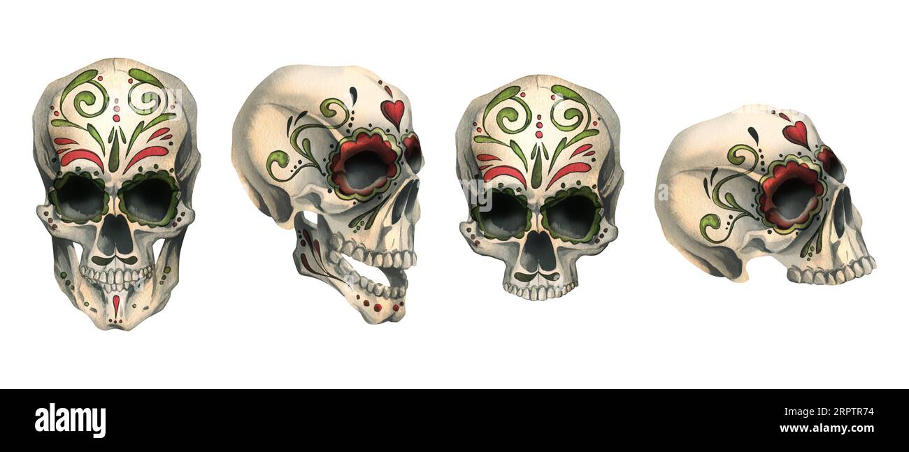 Le profil et le devant des crânes humains avec un ornement peint est mauvais, terrible. Illustration aquarelle dessinée à la main pour le jour des morts, halloween, Dia de Banque D'Images