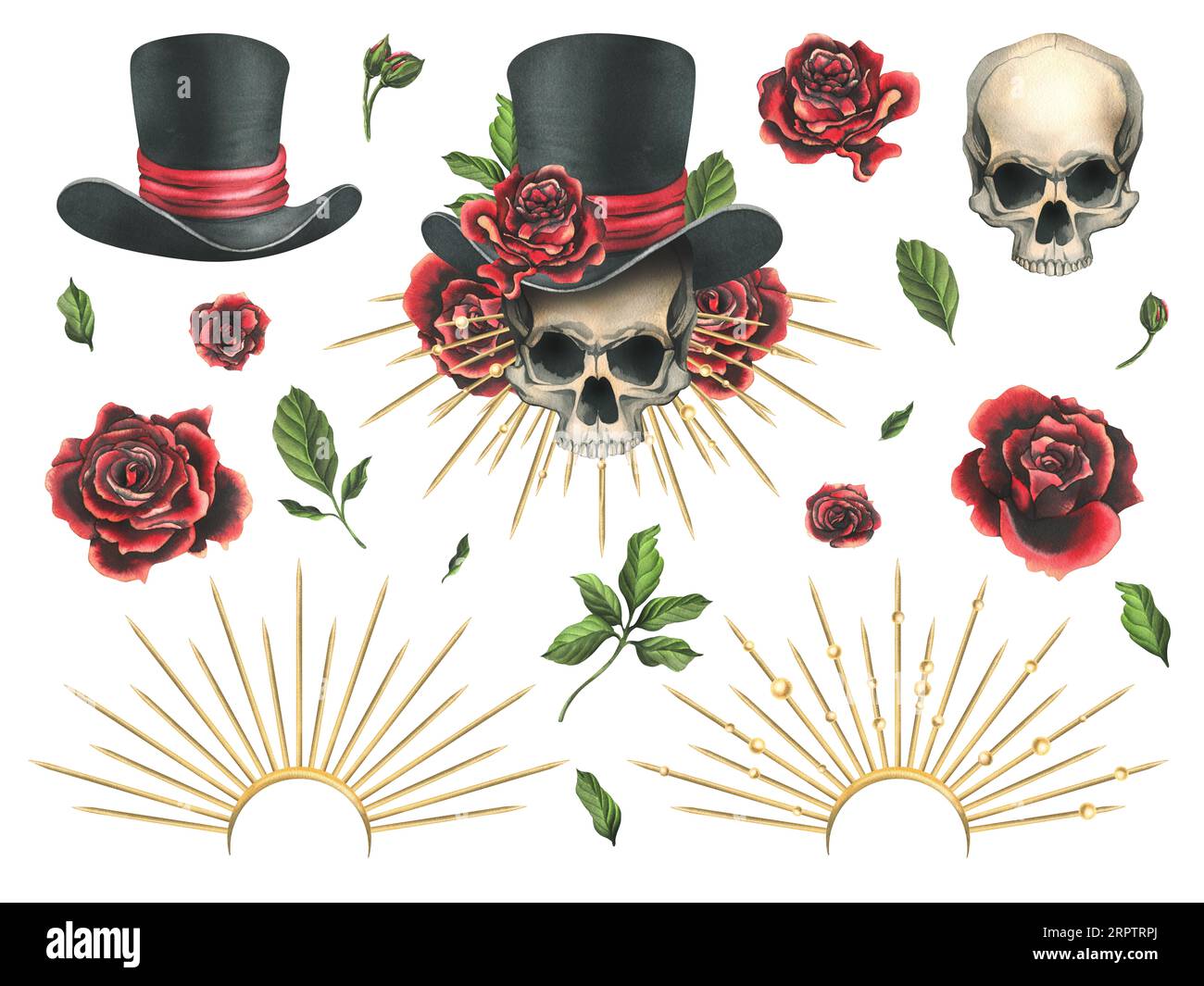 Crâne humain dans un chapeau haut de gamme avec des roses rouges, une couronne dorée avec des rayons. Illustration aquarelle dessinée à la main pour le jour des morts, halloween, Dia de los Banque D'Images