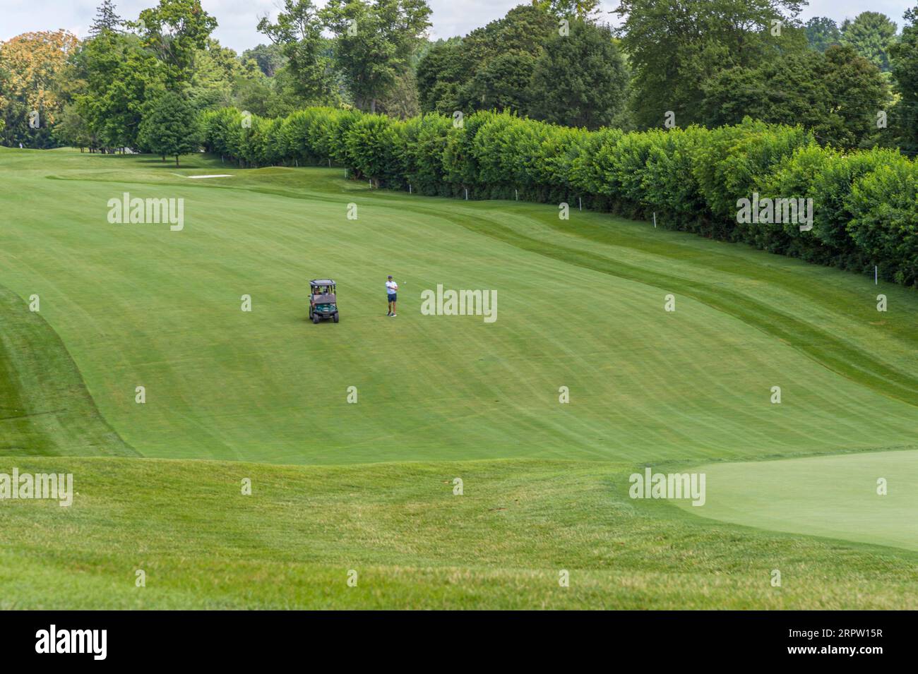 Voiturette de golf sur le parcours de golf fairway, New Jersey USA Banque D'Images
