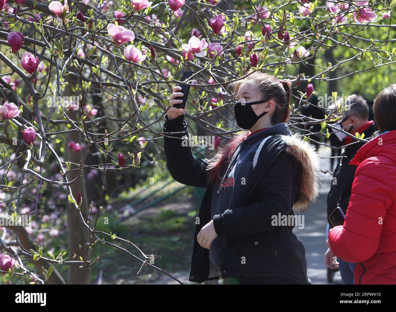 200421 -- KIEV, le 21 avril 2020 Xinhua -- Un touriste prend des photos de fleurs de magnolia à Kiev, Ukraine, le 20 avril 2020. Photo de Sergey Starostenko/Xinhua UKRAINE-KIEV-MAGNOLIA FLEURS PUBLICATIONxNOTxINxCHN Banque D'Images