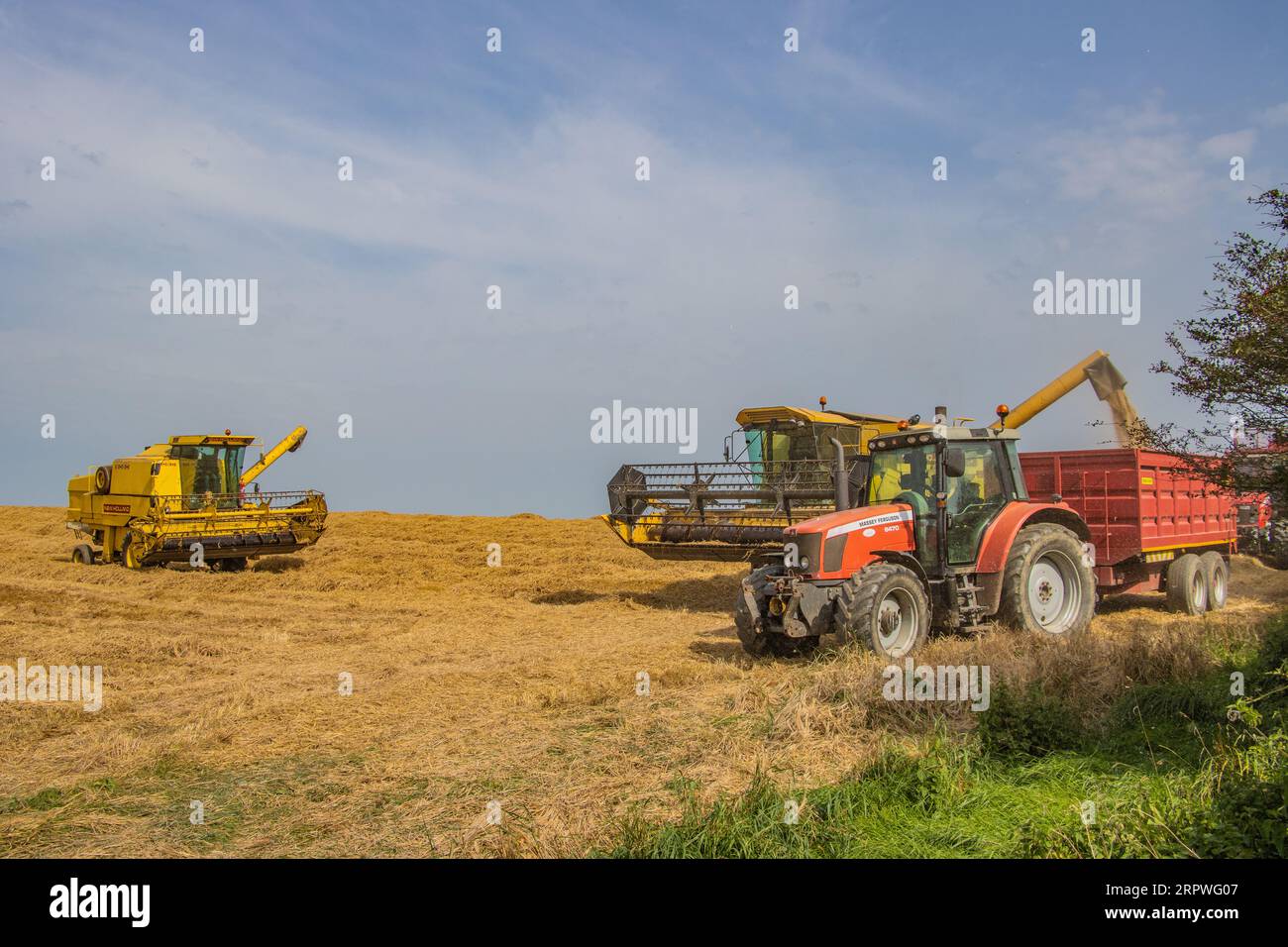 Récolte de l'orge pour l'alimentation du bétail d'hiver près de Courtmacsherry, Co. Cork, 2023 septembre Banque D'Images