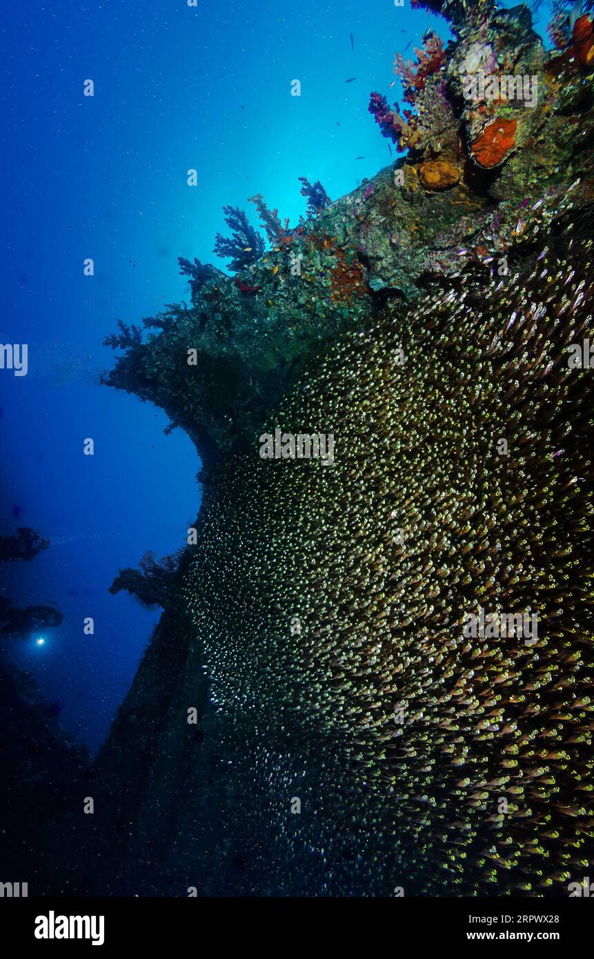 Mur à poissons de classe Banque D'Images