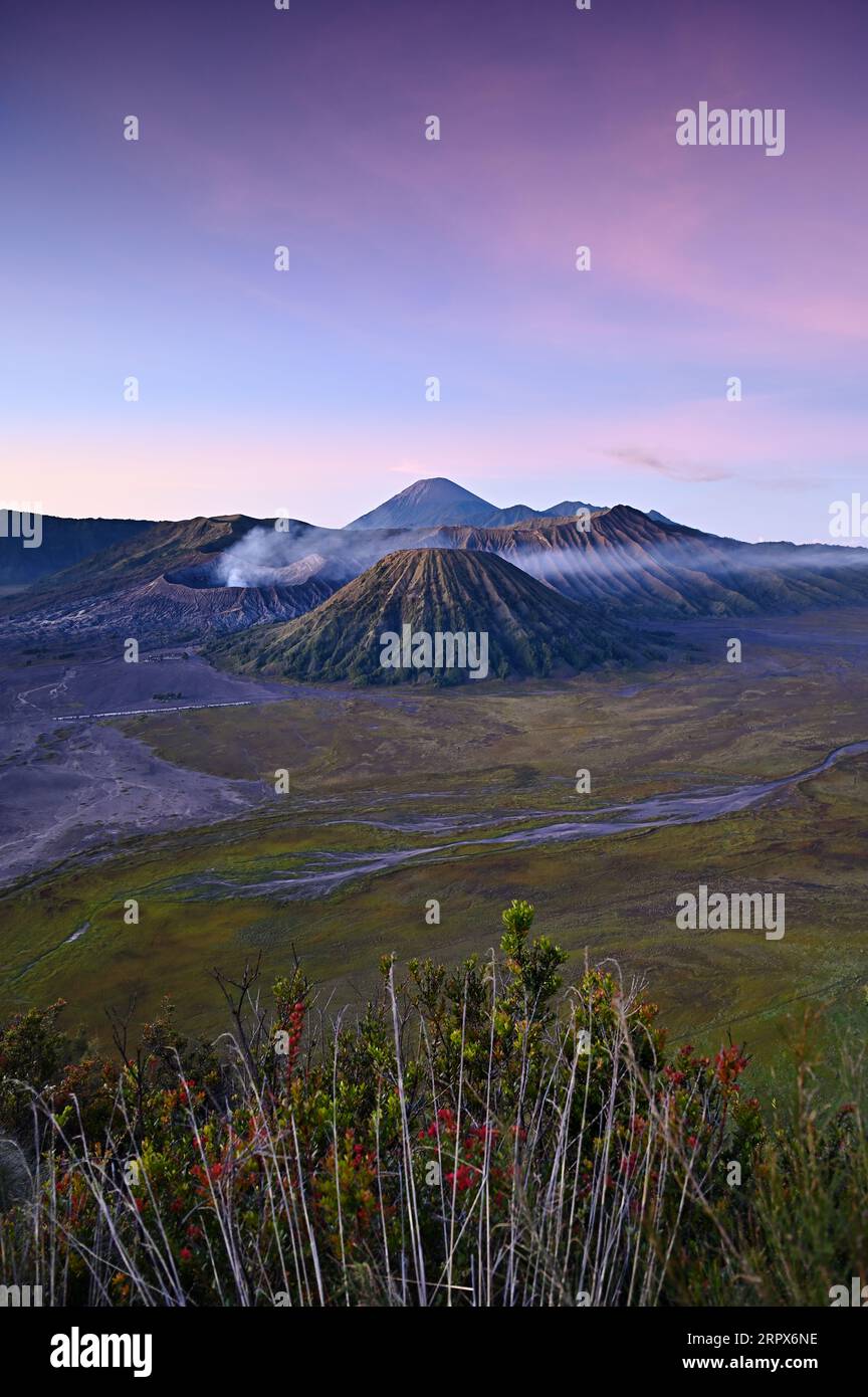 Volcan du Mont Bromo et mer de sable à l'aube. Cemoro Lawang, Java oriental, Indonésie Banque D'Images