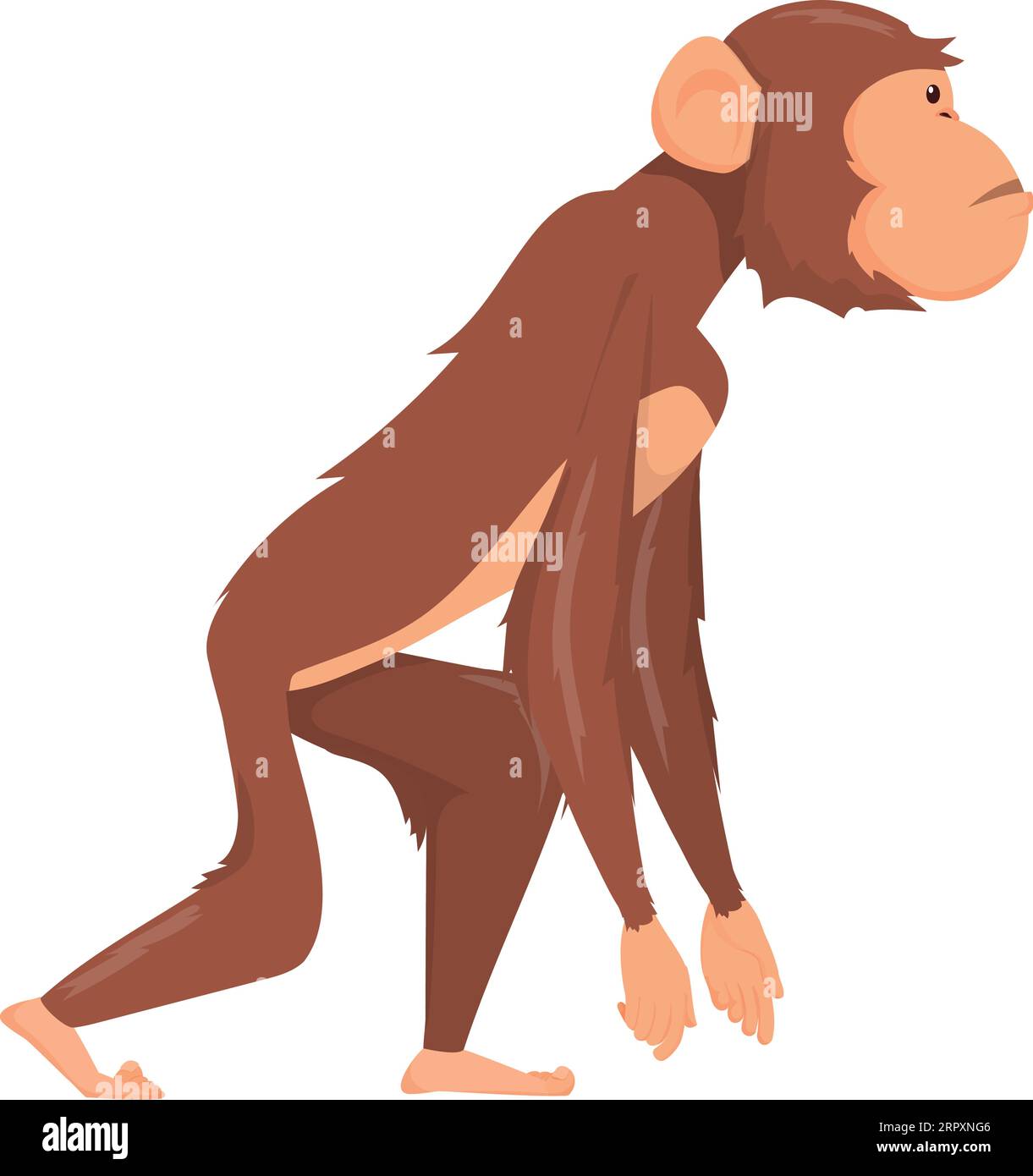 Vue latérale primate. Animal marchant. Chimpanzé de dessin animé Illustration de Vecteur