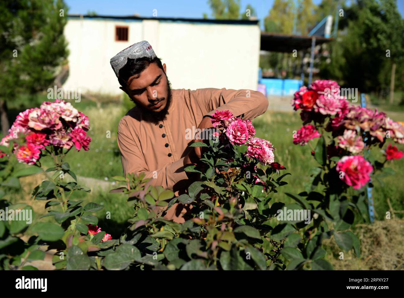 200605 -- KANDAHAR, le 5 juin 2020 -- un jardinier afghan travaille dans un jardin à l'occasion de la Journée mondiale de l'environnement à Kandahar, dans le sud de l'Afghanistan, le 5 juin 2020. Photo de /Xinhua AFGHANISTAN-KANDAHAR-WORLD ENVIRONMENT DAY SanaullahxSeiam PUBLICATIONxNOTxINxCHN Banque D'Images