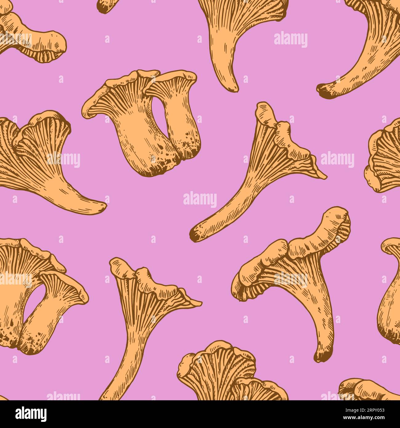 Motif sans couture avec des champignons chanterelles dans un style de gravure rétro. Imprimé vintage détaillé dessiné à la main pour le design et le textile. Illustration de Vecteur