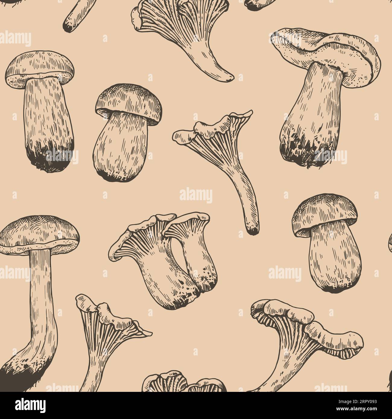 Motif sans couture avec des champignons dans le style de gravure rétro. Vintage noir et blanc imprimé dessiné à la main détaillé pour le design et le textile. Illustration de Vecteur