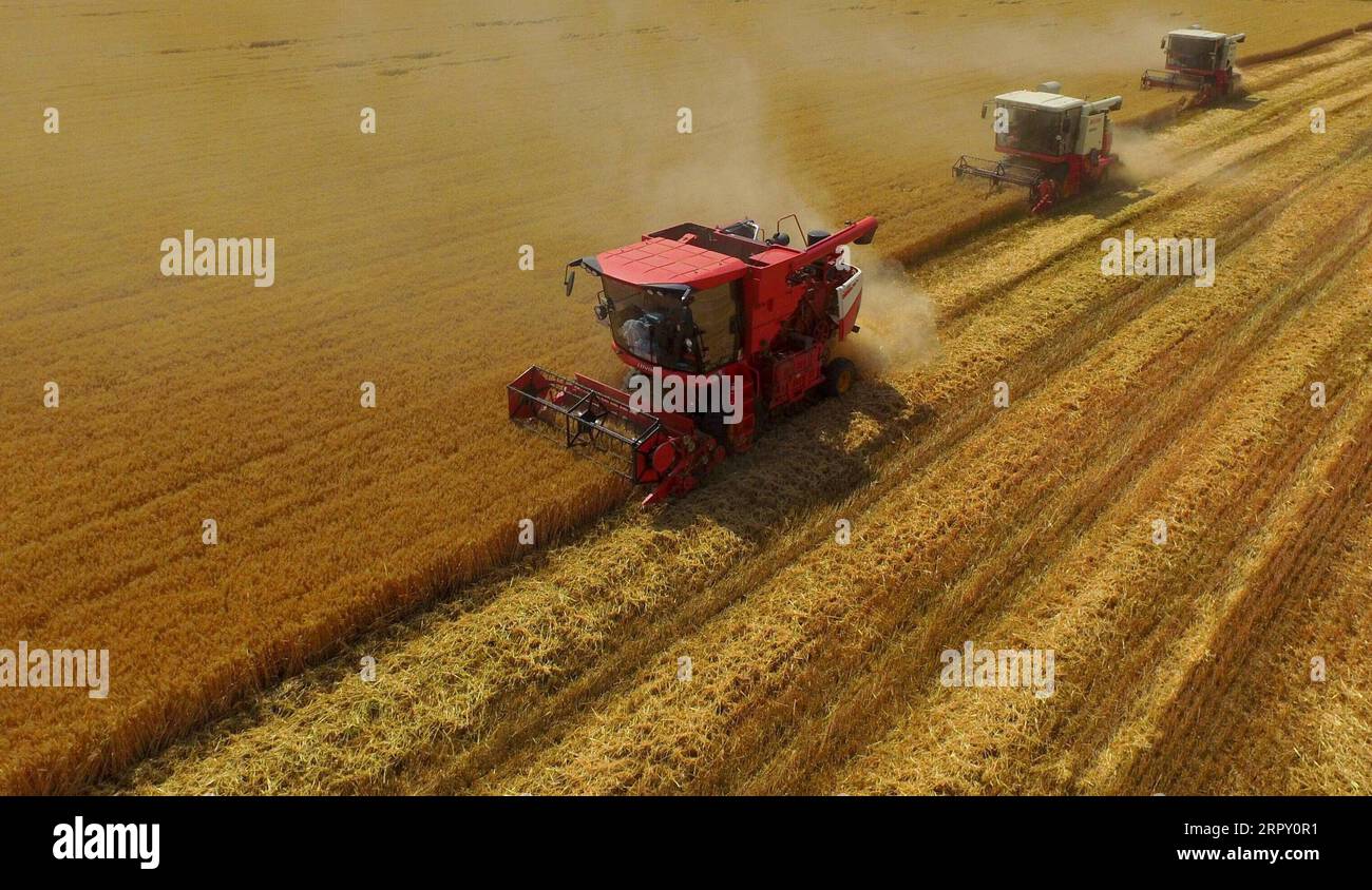 200609 -- PÉKIN, le 9 juin 2020 -- une photo aérienne prise le 8 juin 2020 montre des machines agricoles récoltant du blé dans le village de Yanli, dans le comté de Nanhe, dans la province du Hebei, au nord de la Chine. PHOTOS XINHUA DU JOUR ZhuxXudong PUBLICATIONxNOTxINxCHN Banque D'Images