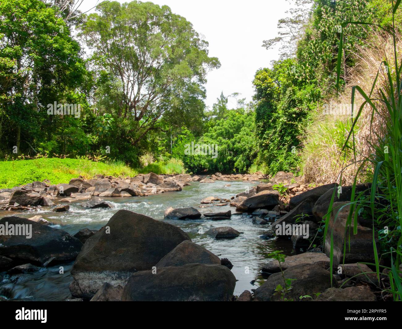 North Johnstone River, coulant sur des roches volcaniques, Malanda, Australie. Banque D'Images