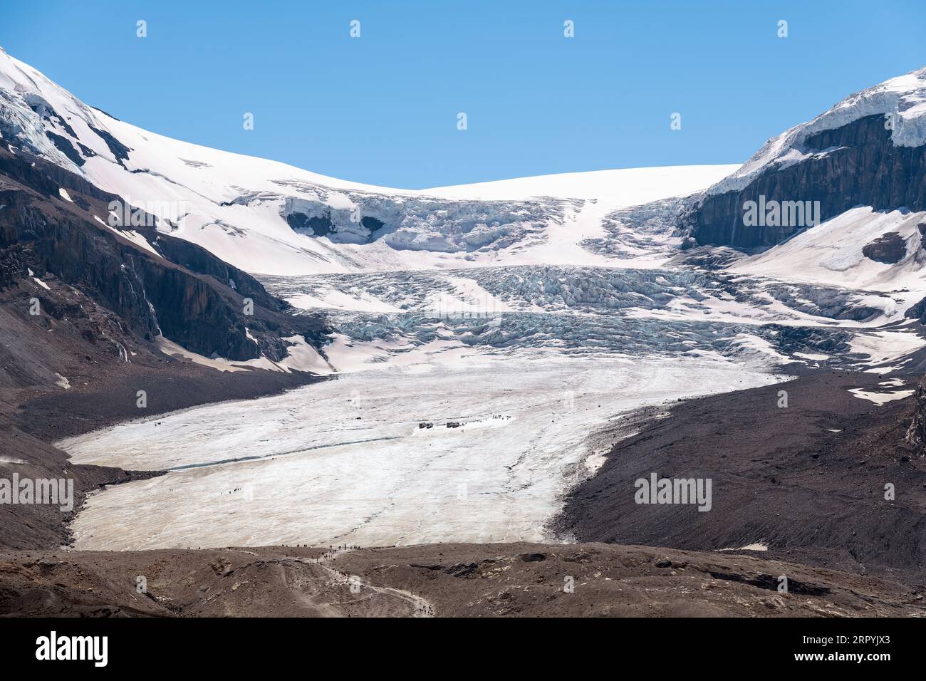 Glacier Athabasca en gros plan de la promenade Icefields, Banff et parc national Jasper, Canada. Banque D'Images