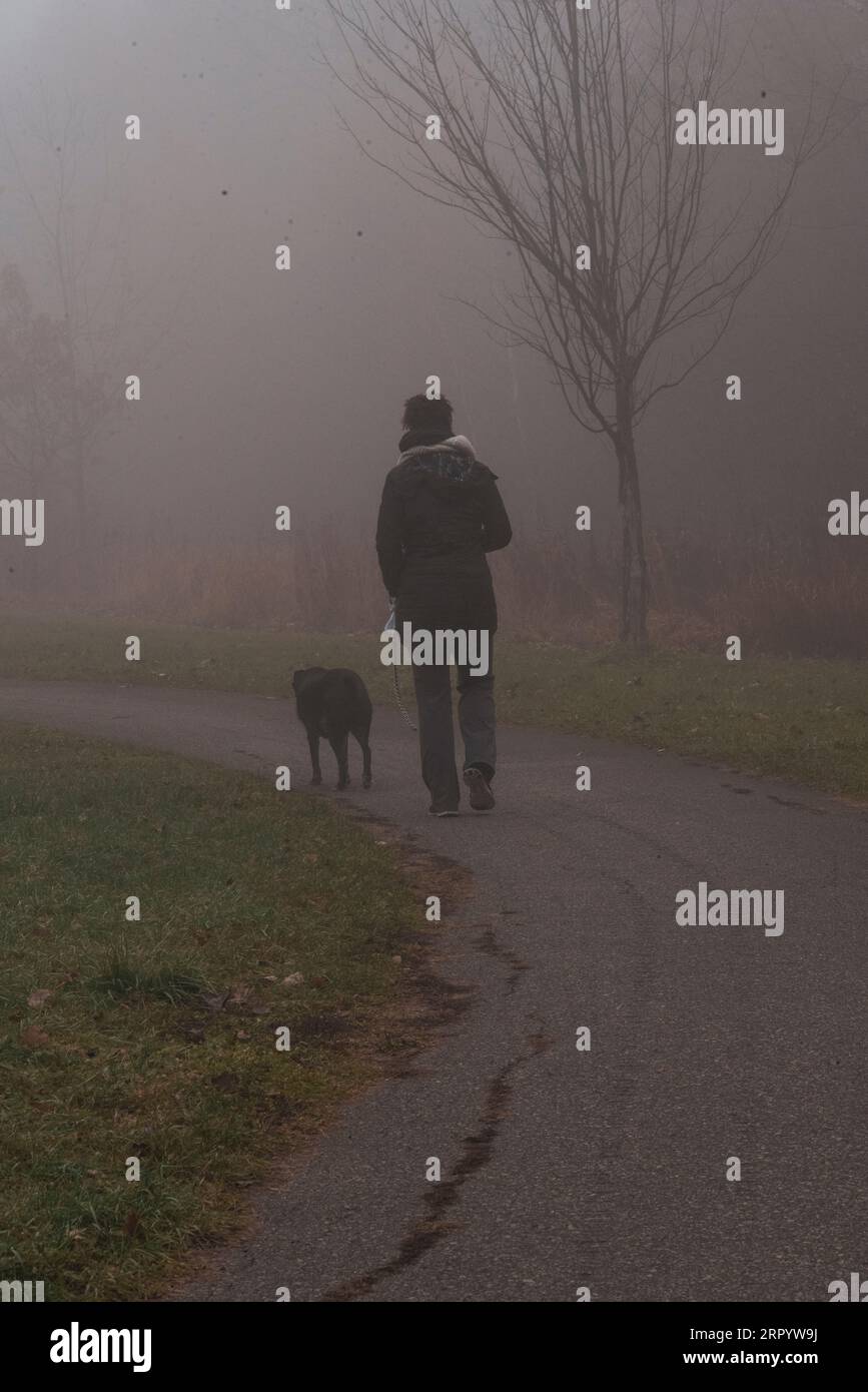 Un mâle adulte promenant son chien de compagnie sur un trottoir dans un parc enveloppé de brouillard Banque D'Images