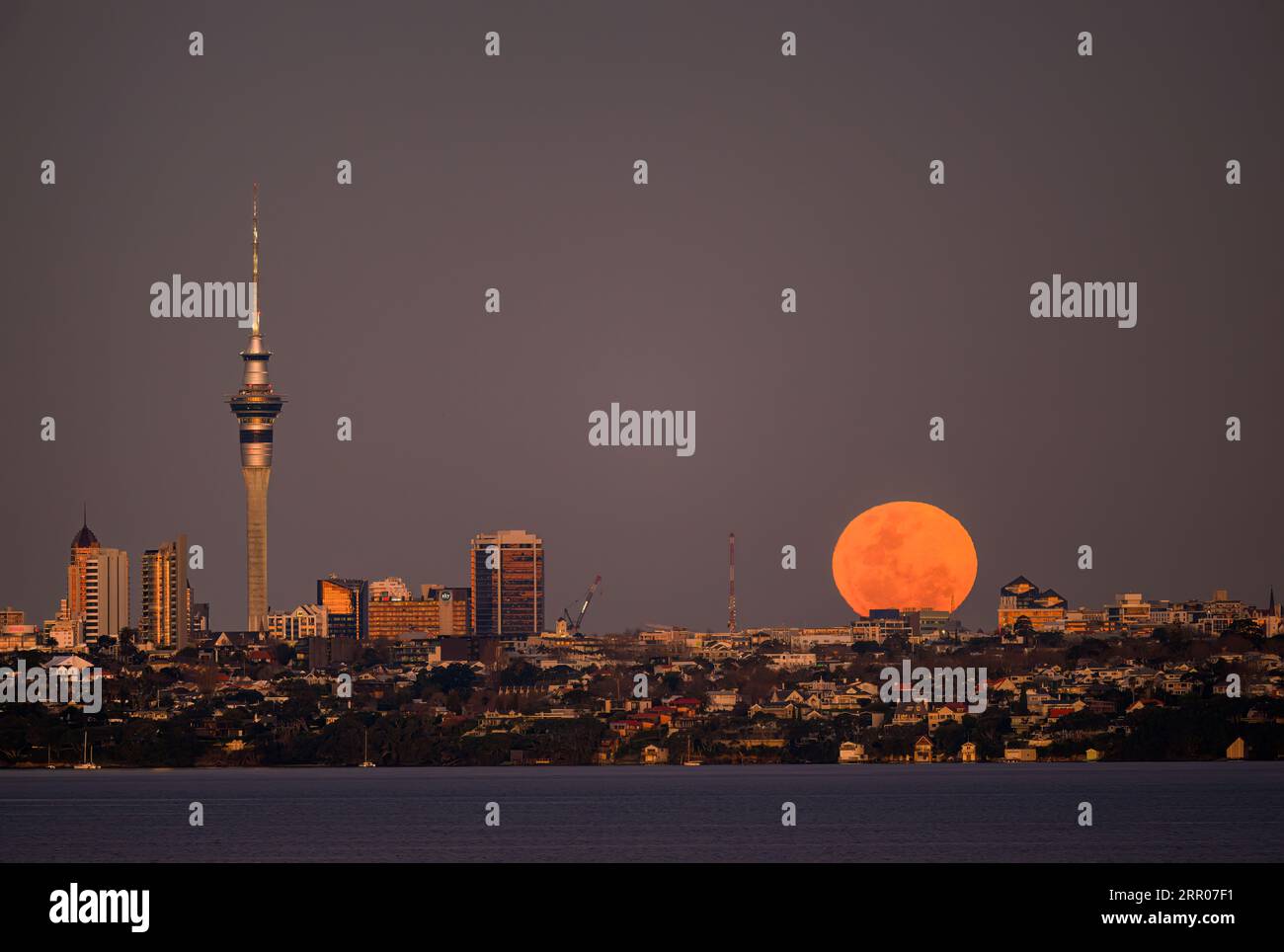 Super lune bleue levant sur la ville d'Auckland au coucher du soleil. Skytower et les bâtiments de la ville brillent dans le soleil couchant. Banque D'Images