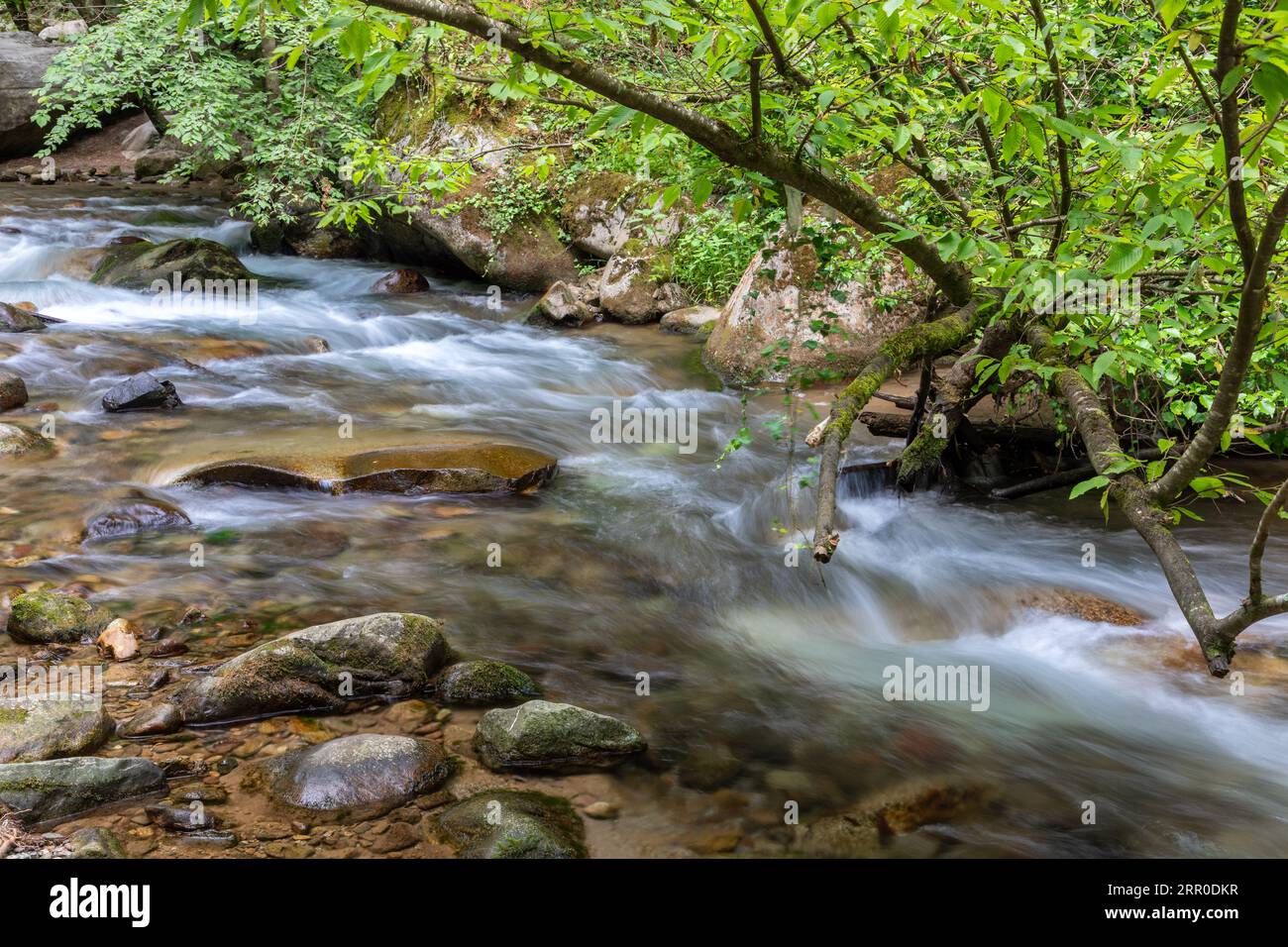 Monument naturel Gaulschlucht gorge à Lana près de Meran, Tyrol du Sud Banque D'Images