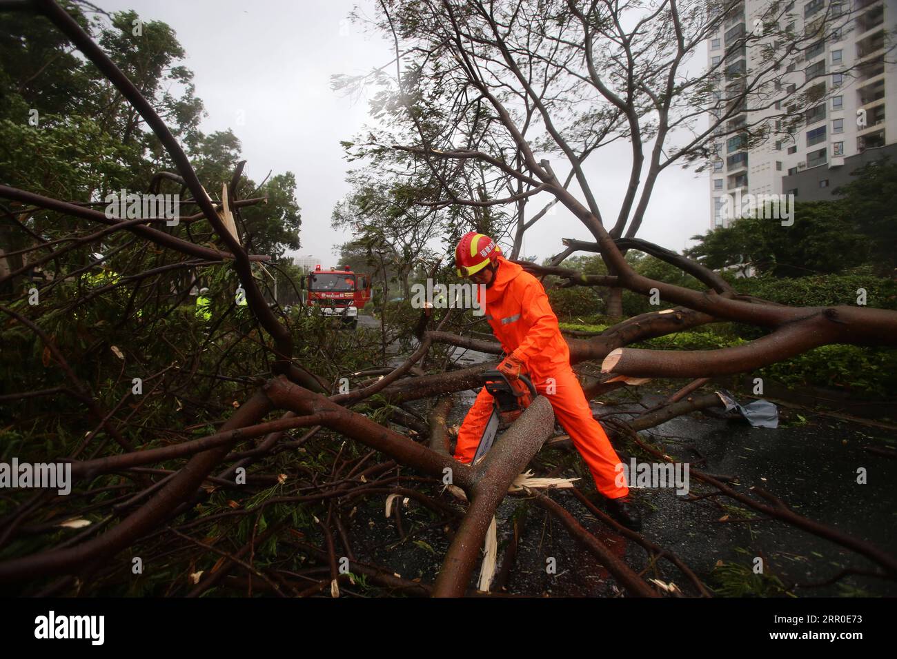 200811 -- XIAMEN, 11 août 2020 Xinhua -- Un pompier nettoie les arbres tombés dans une rue de Xiamen, dans la province du Fujian du sud-est de la Chine, le 11 août 2020. Le typhon Mekkhala, le sixième cette année, a touché terre vers 7:30 heures du matin mardi dans le comté de Zhangpu, dans la province du Fujian de l est de la Chine, apportant des coups de vent allant jusqu à 33 mètres par seconde près de son œil, selon les autorités météorologiques locales. Photo de Zeng Demeng/Xinhua CHINA-FUJIAN-TYPHOONCN PUBLICATIONxNOTxINxCHN Banque D'Images