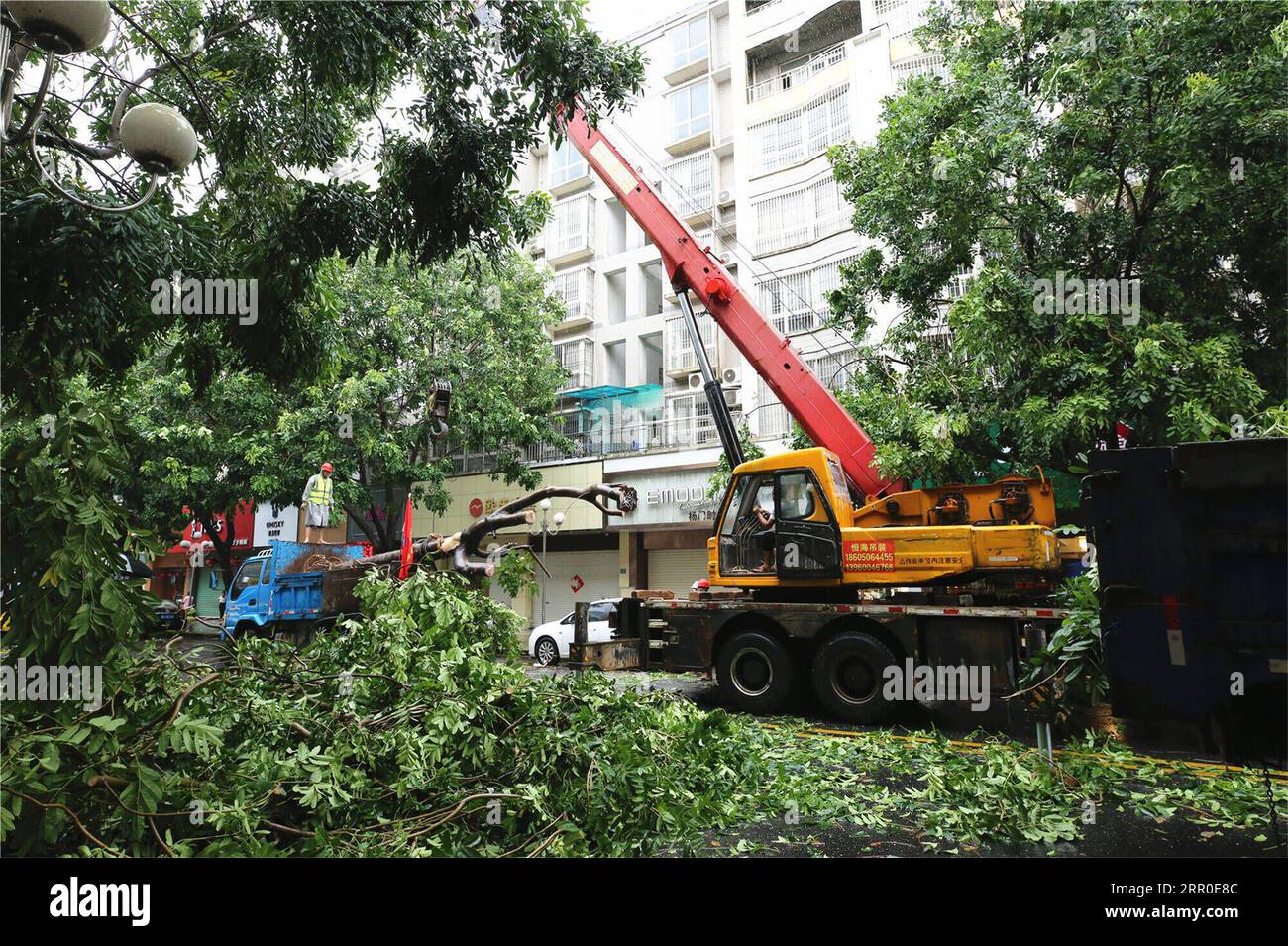 200811 -- ZHANGZHOU, le 11 août 2020 -- des ouvriers nettoient les arbres tombés dans une rue de la ville de sui an du comté de Zhangpu, Zhangzhou, province du Fujian du sud-est de la Chine, le 11 août 2020. Le typhon Mekkhala, le sixième cette année, a touché terre vers 7:30 heures du matin mardi dans le comté de Zhangpu, dans la province du Fujian de l est de la Chine, apportant des coups de vent allant jusqu à 33 mètres par seconde près de son œil, selon les autorités météorologiques locales. Photo de /Xinhua CHINA-FUJIAN-TYPHOONCN QiuxFeng PUBLICATIONxNOTxINxCHN Banque D'Images