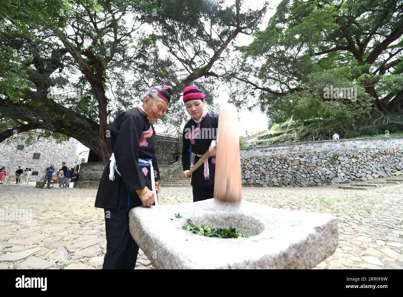 200812 -- NINGDE, 12 août 2020 -- Zhong Lianjiao L enseigne à la villageoise Lei Qingqing à battre les feuilles utilisées pour fabriquer de la nourriture de groupe ethnique au village de Banyueli dans le comté de Xiapu, province du Fujian du sud-est de la Chine, 5 août 2020. Il est courant de voir Zhong Lianjiao, une femme de 89 ans de l'ethnie she toujours en costumes traditionnels she, présenter les cultures de l'ethnie she aux touristes visitant l'ancien village Banyueli. Vivant dans le village depuis des décennies, Zhong a fait des efforts pour promouvoir le tourisme du village en présentant les cultures locales aux touristes. Banyueli est un village où Banque D'Images