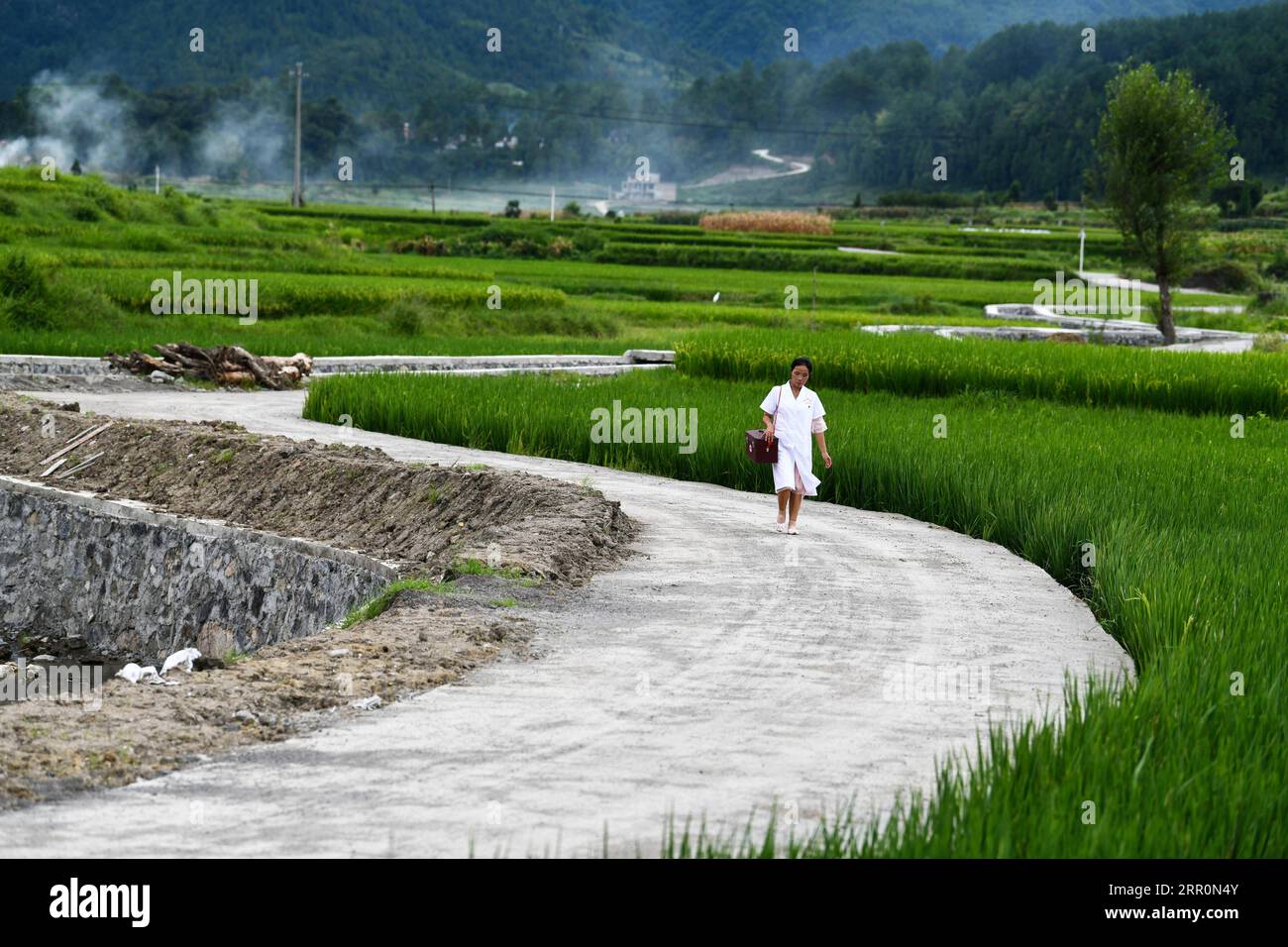 200821 -- LONGLI, 21 août 2020 -- Luo Mu est en route pour rendre visite à un patient dans le village de Cuiwei, dans le comté de Longli, préfecture autonome de Qiannan Buyi-Miao, province du Guizhou, dans le sud-ouest de la Chine, le 18 août 2020. Luo Mu, 49 ans, médecin de l'ethnie Buyi, travaille dans le village de Cuiwei, dans le comté de Longli. Diplômée d'une école de médecine en 2004, elle est revenue au village en tant que médecin. Elle a converti son propre salon en clinique avec l'équipement médical qu'elle avait acheté, pour soigner les patients du village. En 2007, Luo a été employé dans une clinique nouvellement fondée dans le village avec une population de 2 habitants Banque D'Images