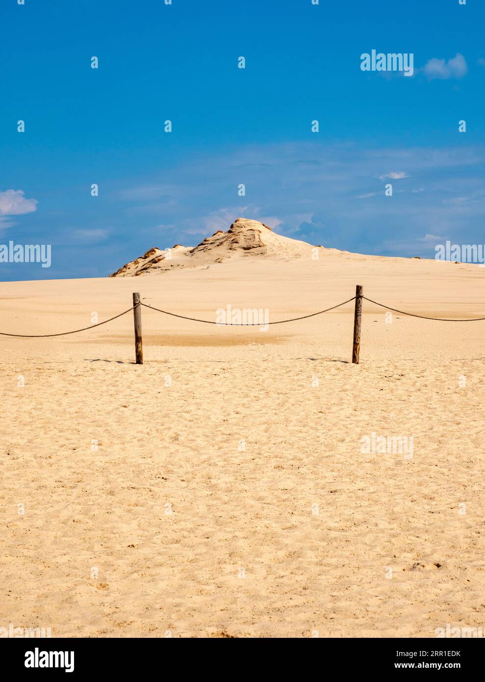 Dune de sable, parc national Slovincian, parc Slowinski Narodowy, Pologne Banque D'Images