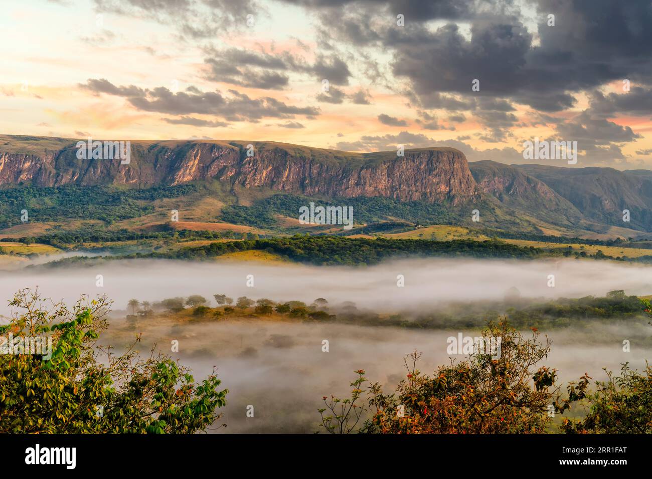 Brouillard matinal sur les vallées et les montagnes, Serra da Canastra, Minas Gerais, Brésil Banque D'Images