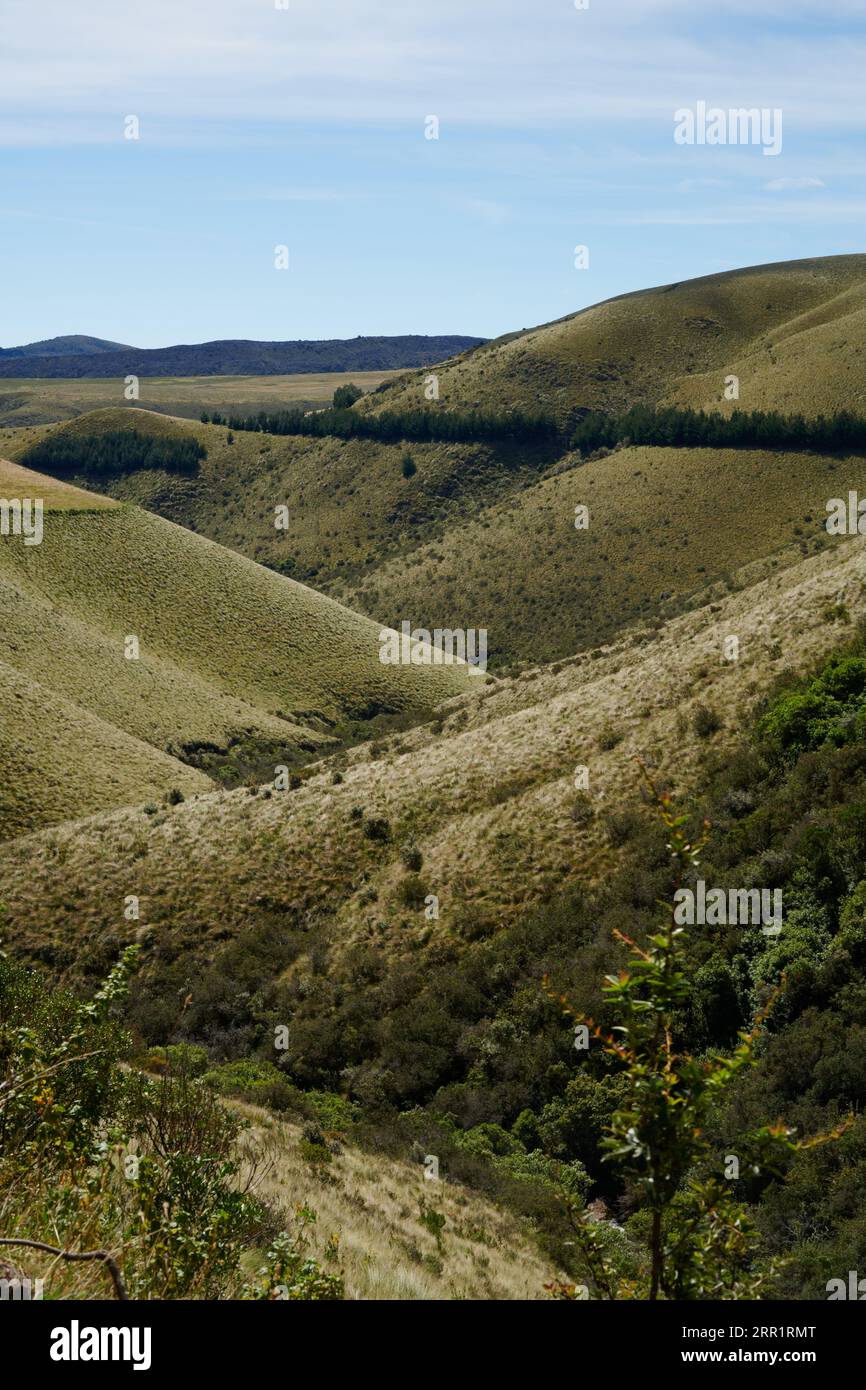 Paysage pittoresque de collines verdoyantes couvertes de verdure sous ciel bleu avec des nuages dans la réserve écologique en Équateur Banque D'Images
