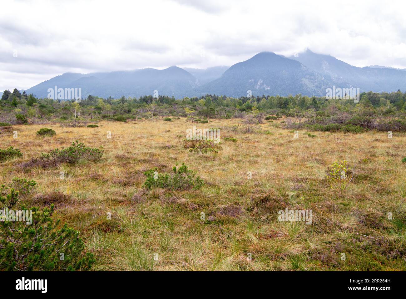 Kendlmuehlfilzen, amarrage devant un panorama alpin au sud du lac Chiemsee, district de Traunstein, Bavière, Allemagne Banque D'Images