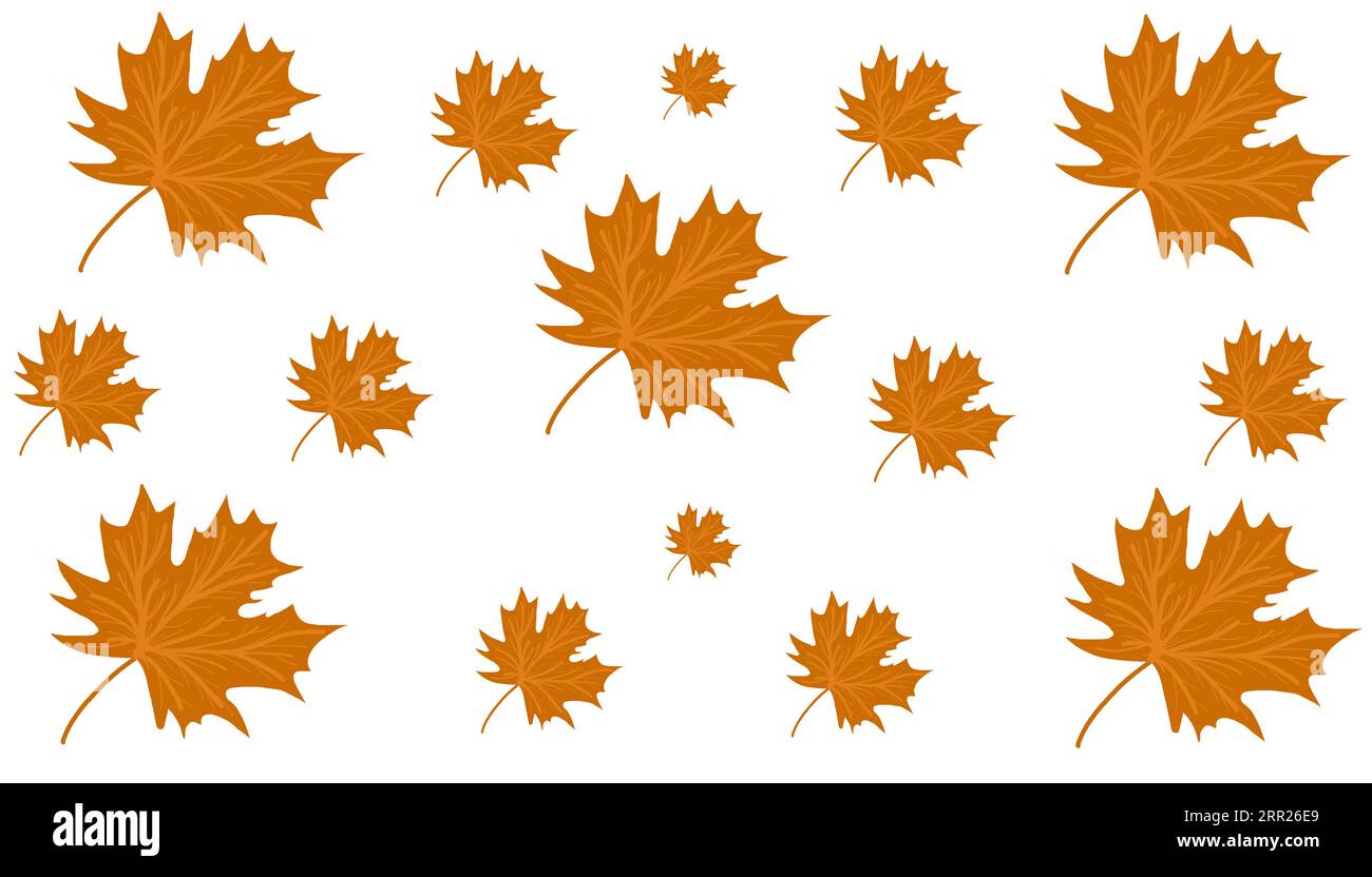 illustration de feuilles d'automne brunes de différentes tailles sur fond blanc Banque D'Images