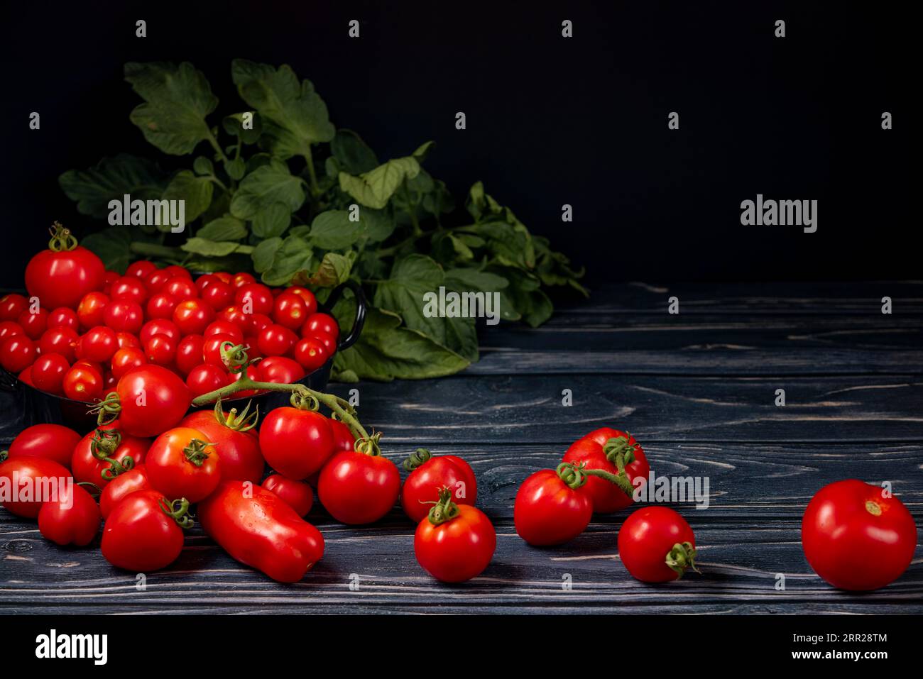 Diverses variétés de tomates dans et devant le pot noir sur bois, feuilles de tomate, salle de copie, sombre Banque D'Images