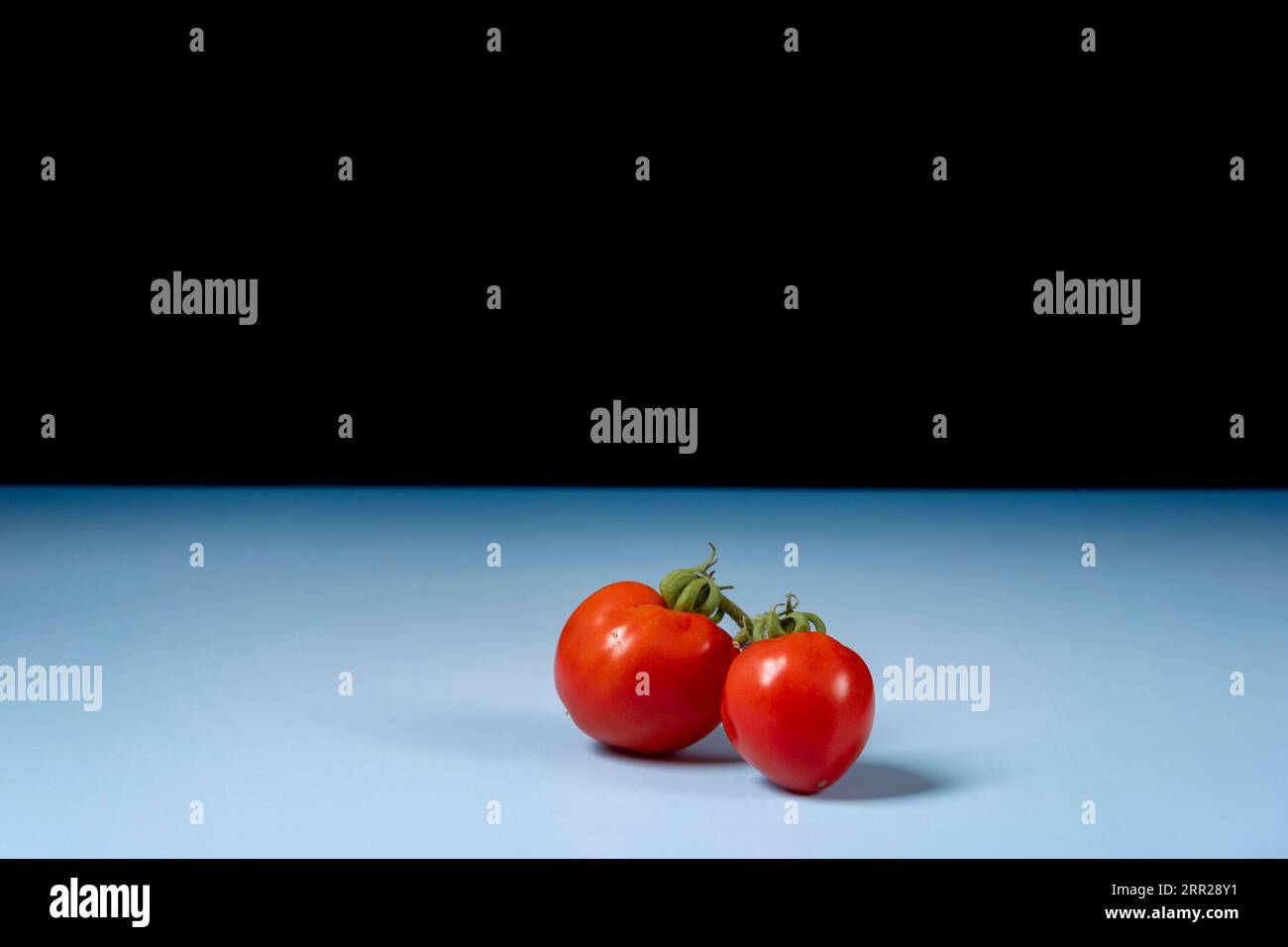 Deux tomates fraîches sur fond bleu, fond noir, salle de copie Banque D'Images