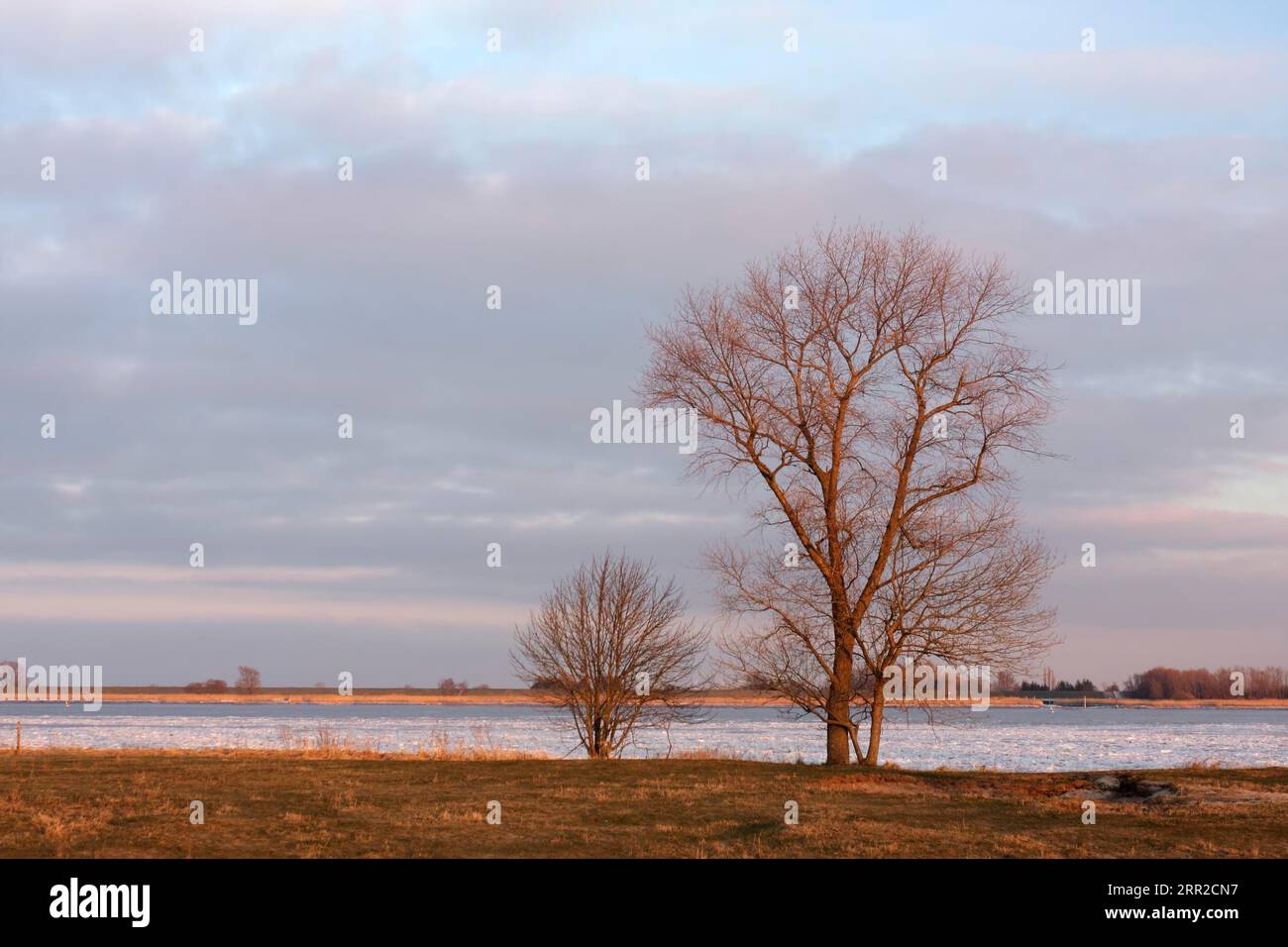 Flux de glace sur la Weser après l'arrêt de la centrale nucléaire d'Unterweser, Strohauser plate, district de Wesermarsch, Basse-Saxe, Allemagne Banque D'Images