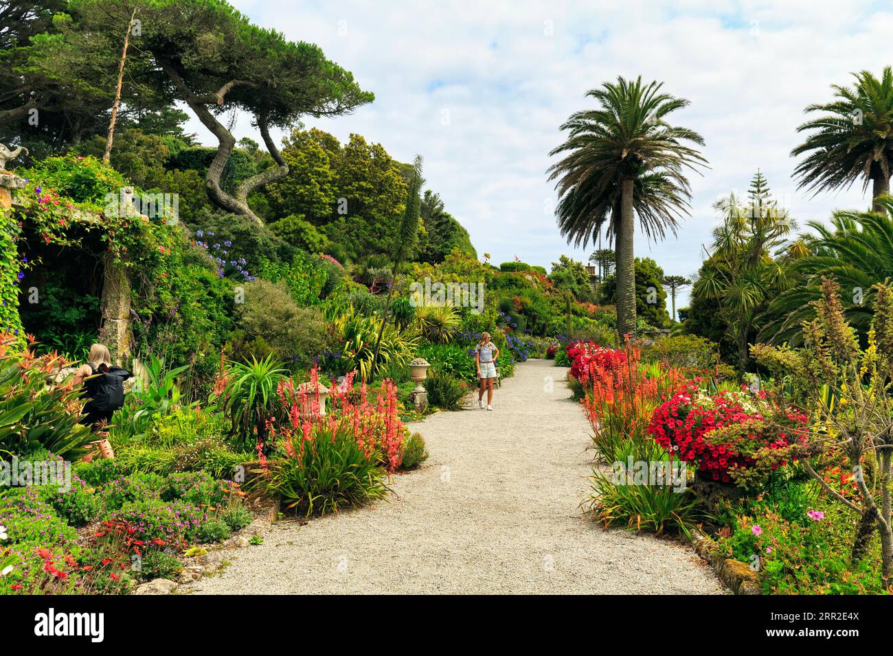 Jardin subtropical du 19e siècle avec visiteurs, plantes à fleurs, jardin de l'abbaye de Tresco, îles Scilly, îles Scilly, Cornwall, Angleterre, United Banque D'Images