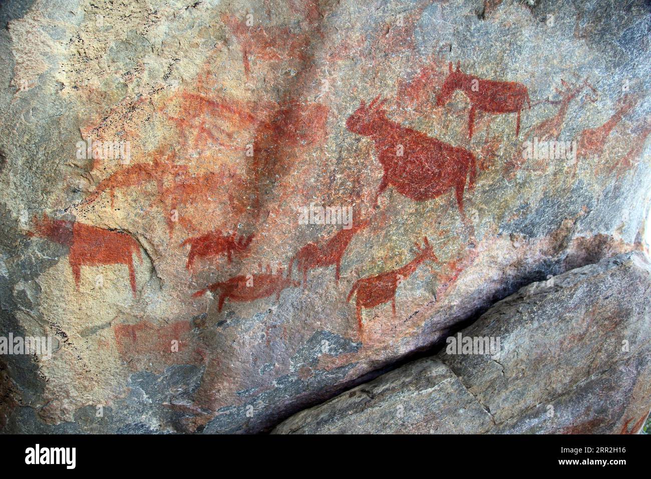 Peintures rupestres, colline de Tsodilo, Botswana Banque D'Images