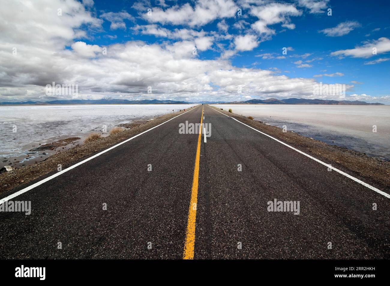 Route, Lac Salé, Salinas grandes, Argentine, Amérique du Sud Banque D'Images