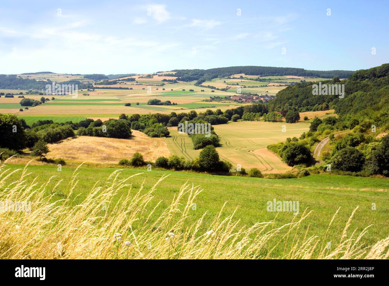 Paysage de basse montagne, Weserbergland, Basse-Saxe, Allemagne Banque D'Images