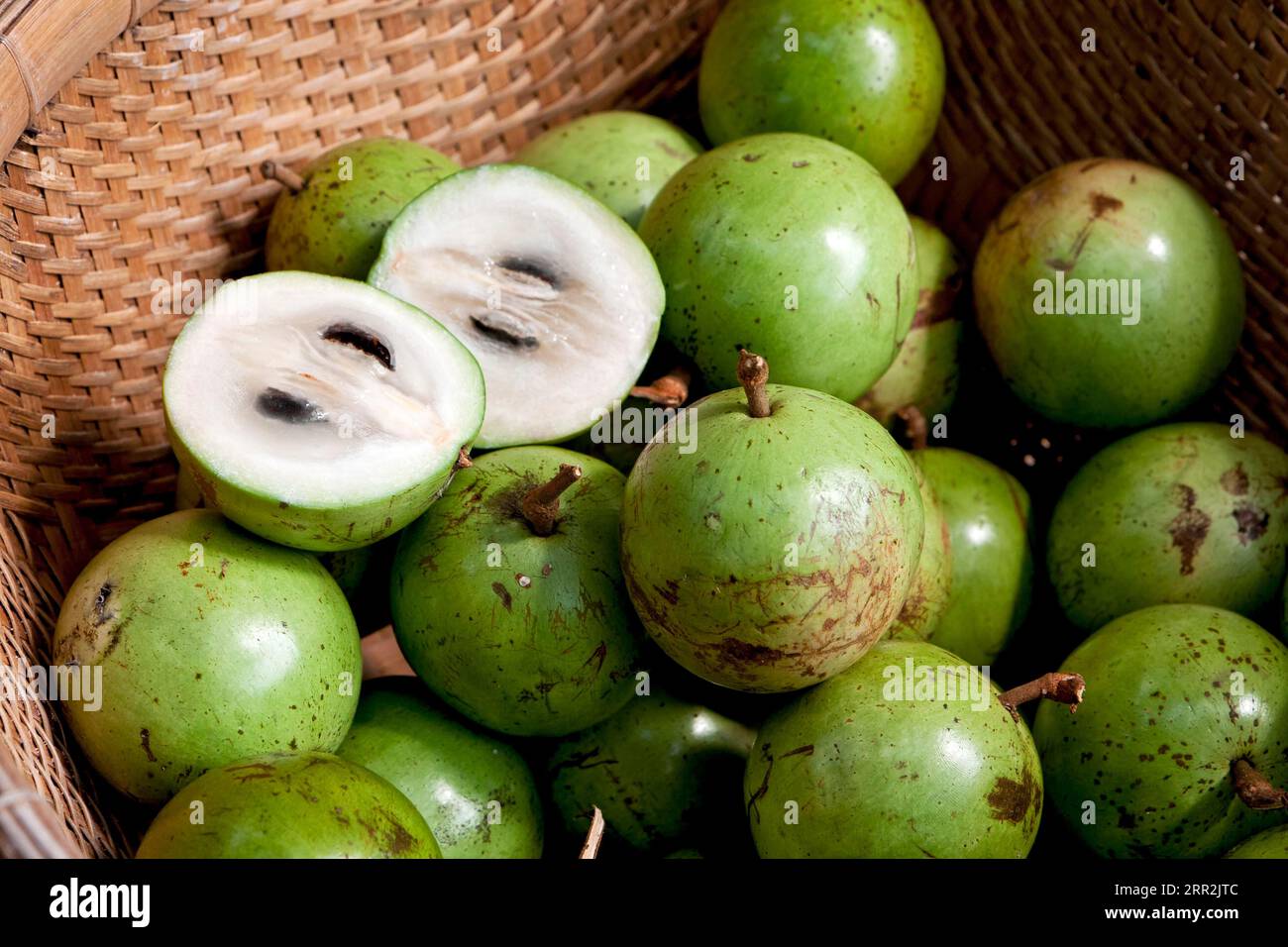 Pommes au lait, pommes étoilées (Chrysophyllum cainito), Vietnam, Asie du Sud-est Banque D'Images