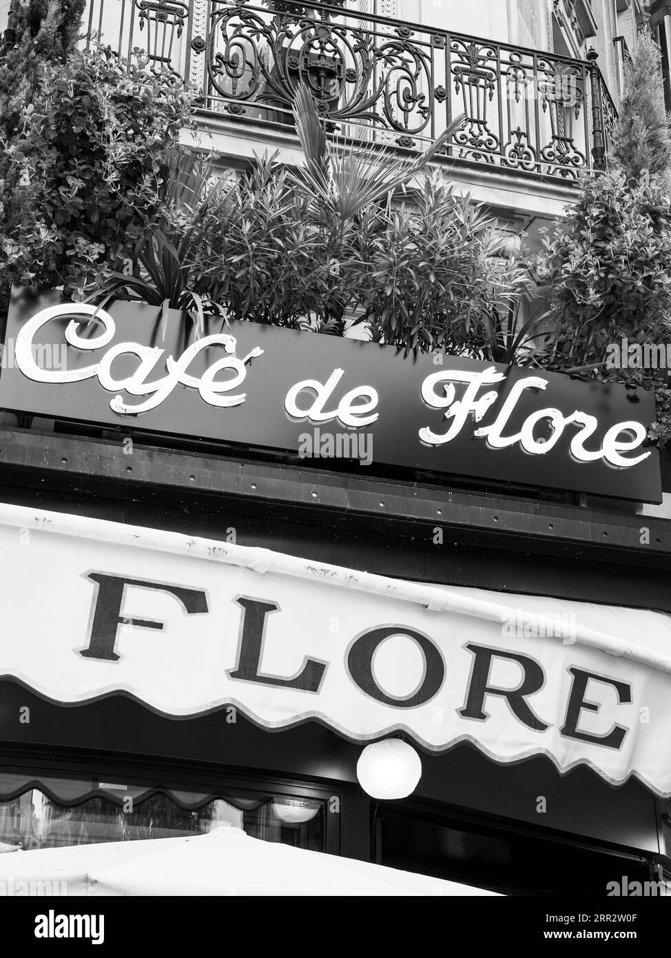 Café de flore, café philosophes, Paris, France, Europe, UE. Banque D'Images